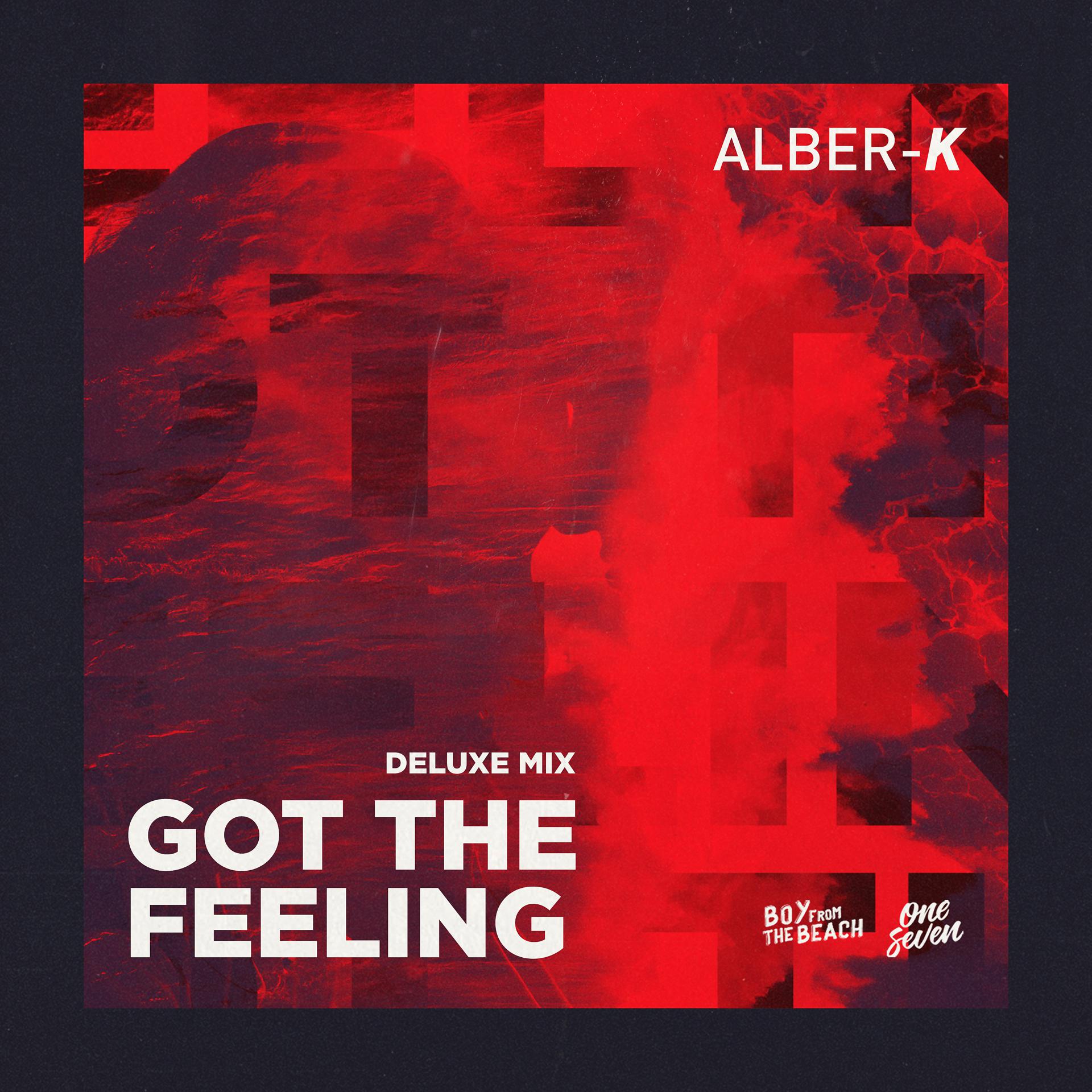 Постер альбома Got the Feeling (Deluxe Mix)
