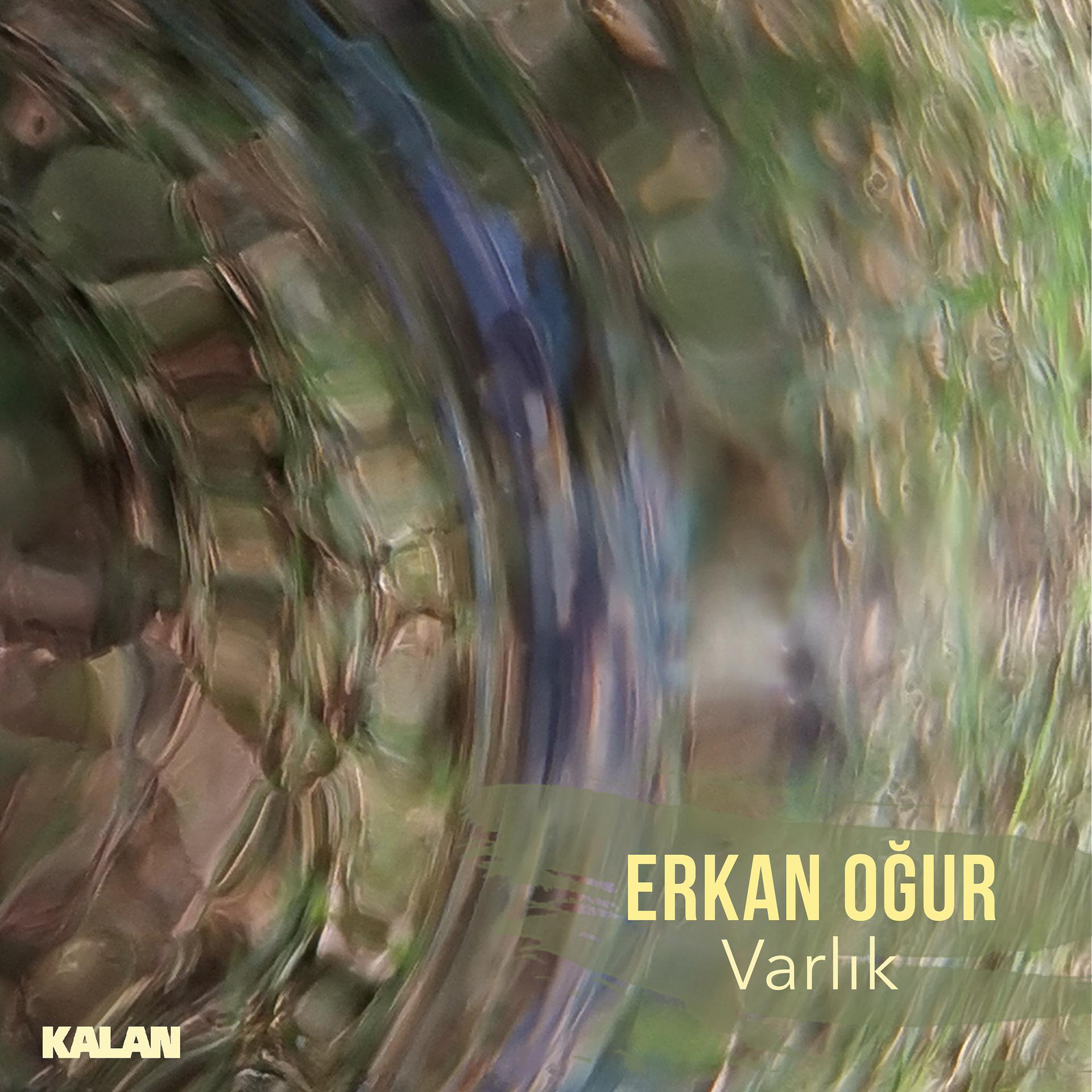 Постер альбома Varlık