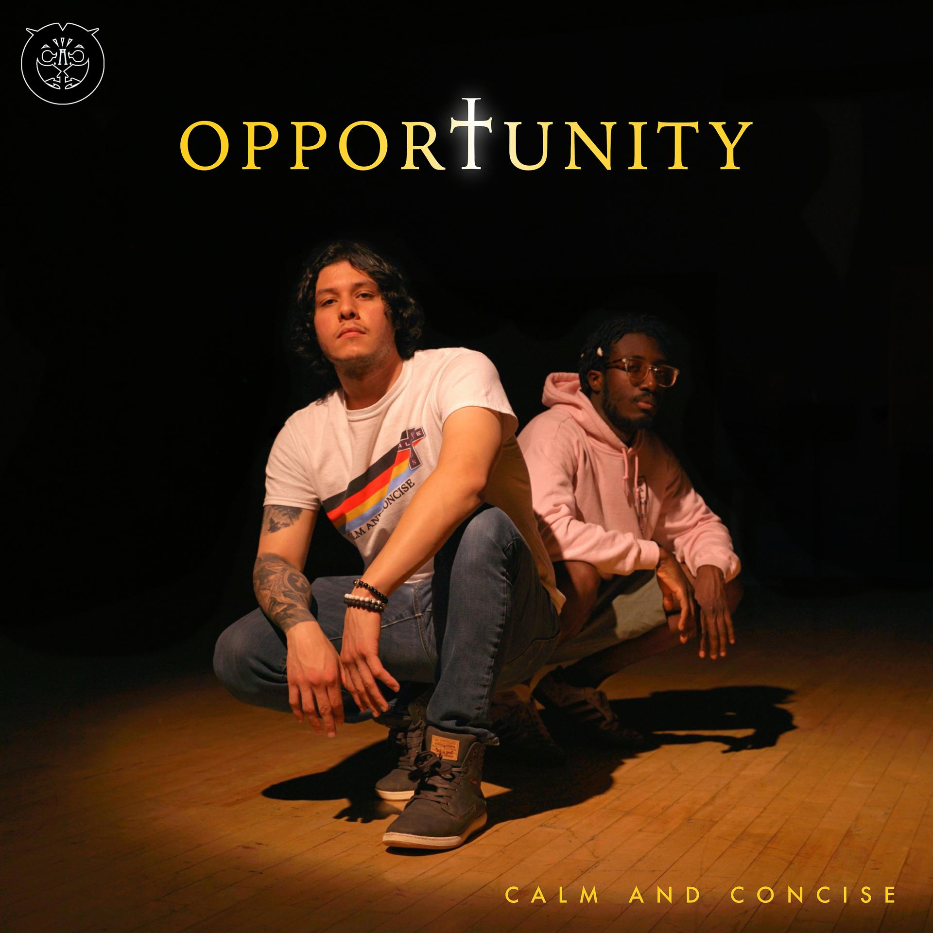 Постер альбома Opportunity
