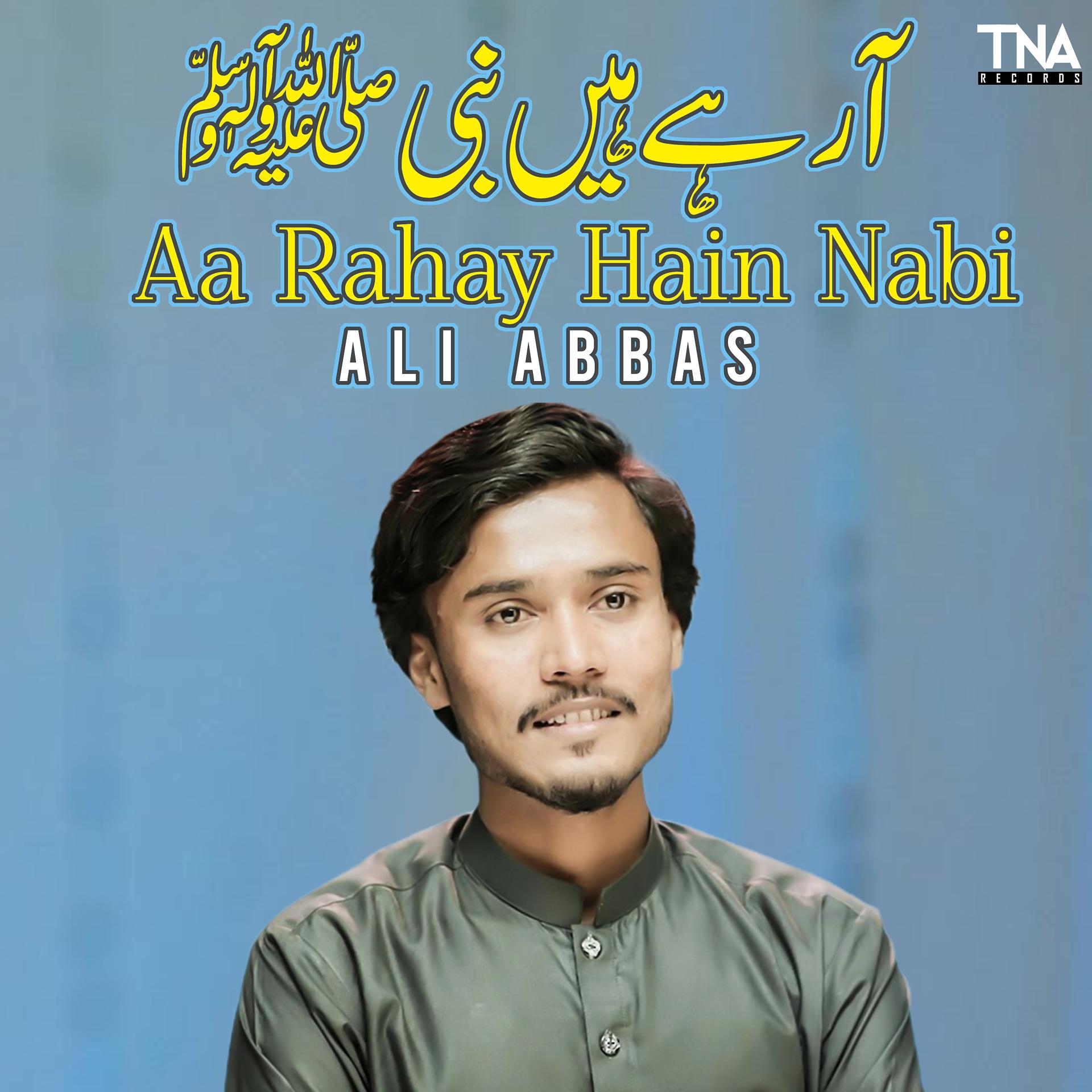 Постер альбома Aa Rahay Hain Nabi - Single