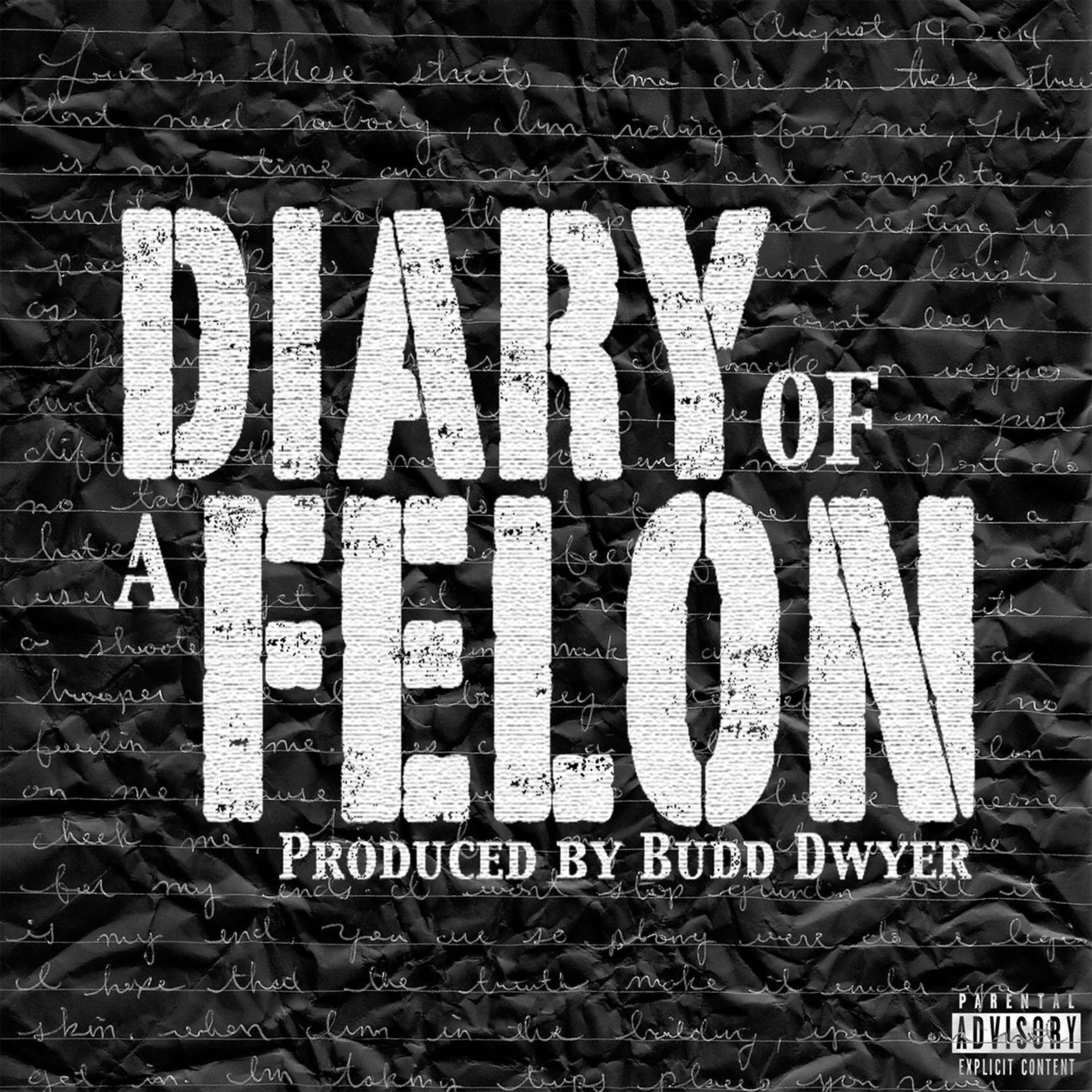 Постер альбома Diary of a Felon