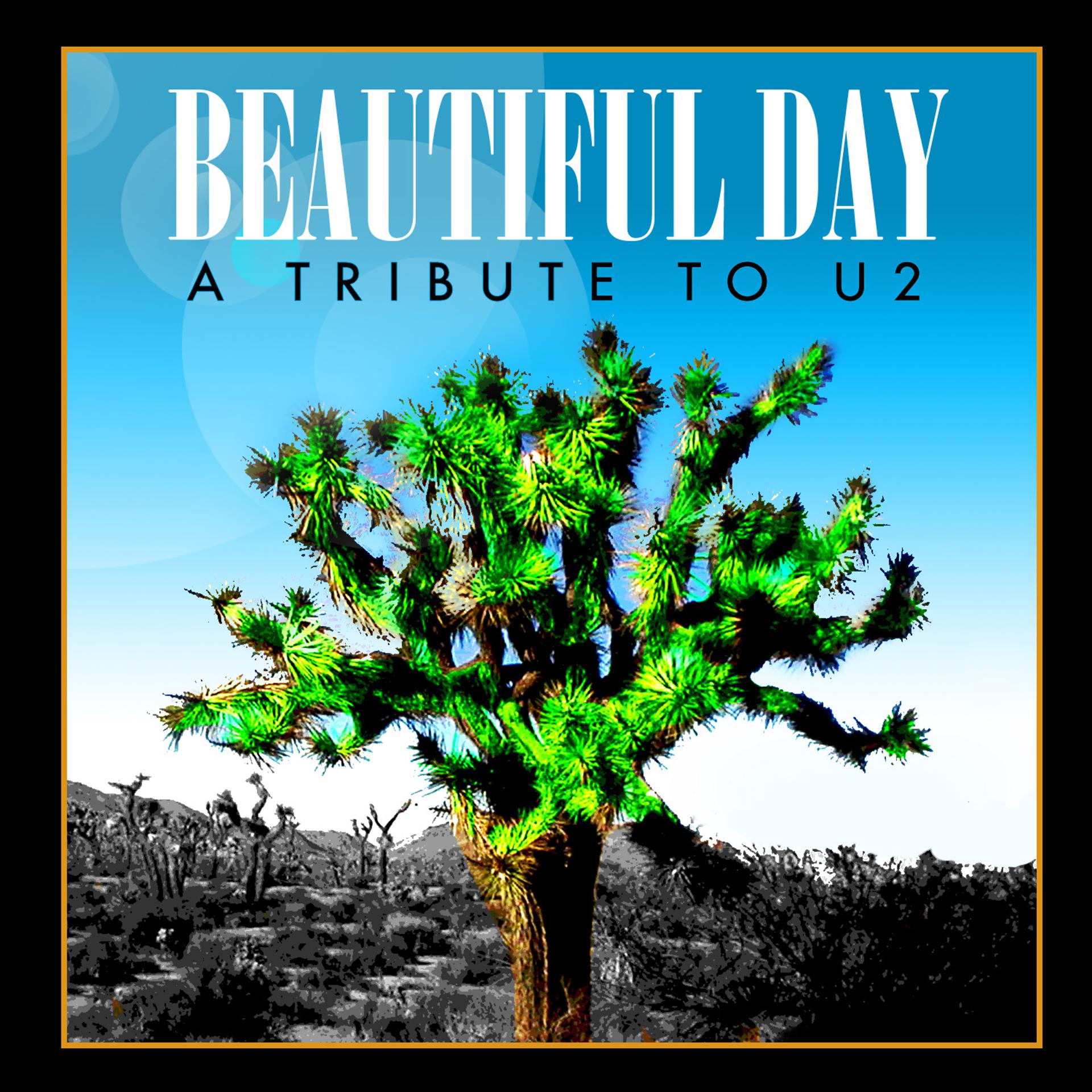 Постер альбома Beautiful Day - A Tribute To U2