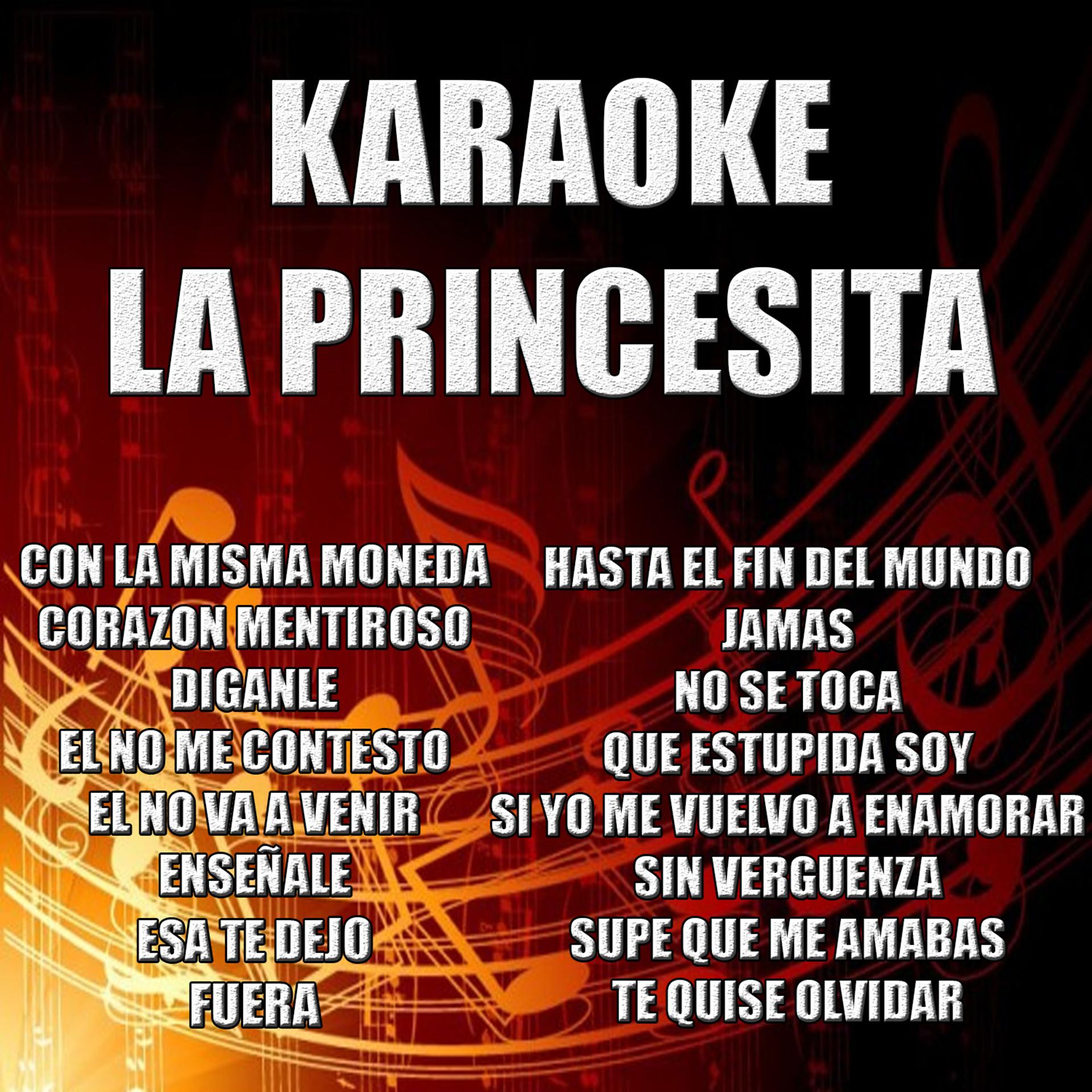 Постер альбома Karaoke la Princesita