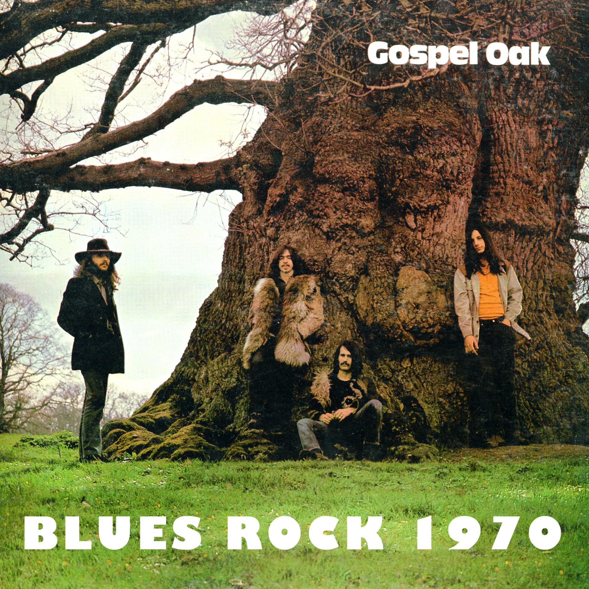 Постер альбома Blues Rock 1970
