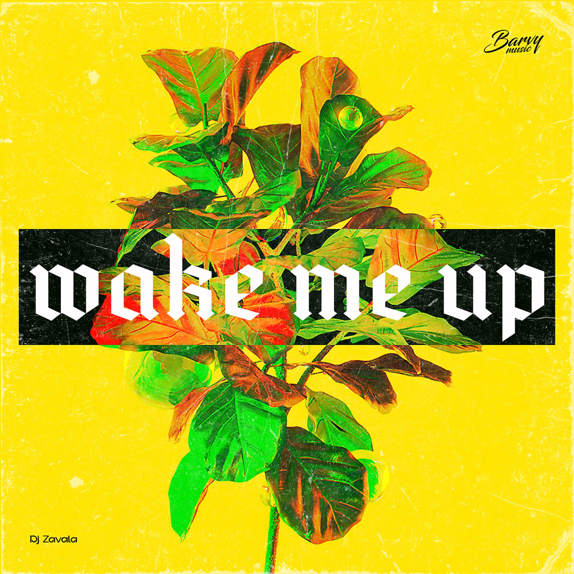 Постер альбома Wake Me Up
