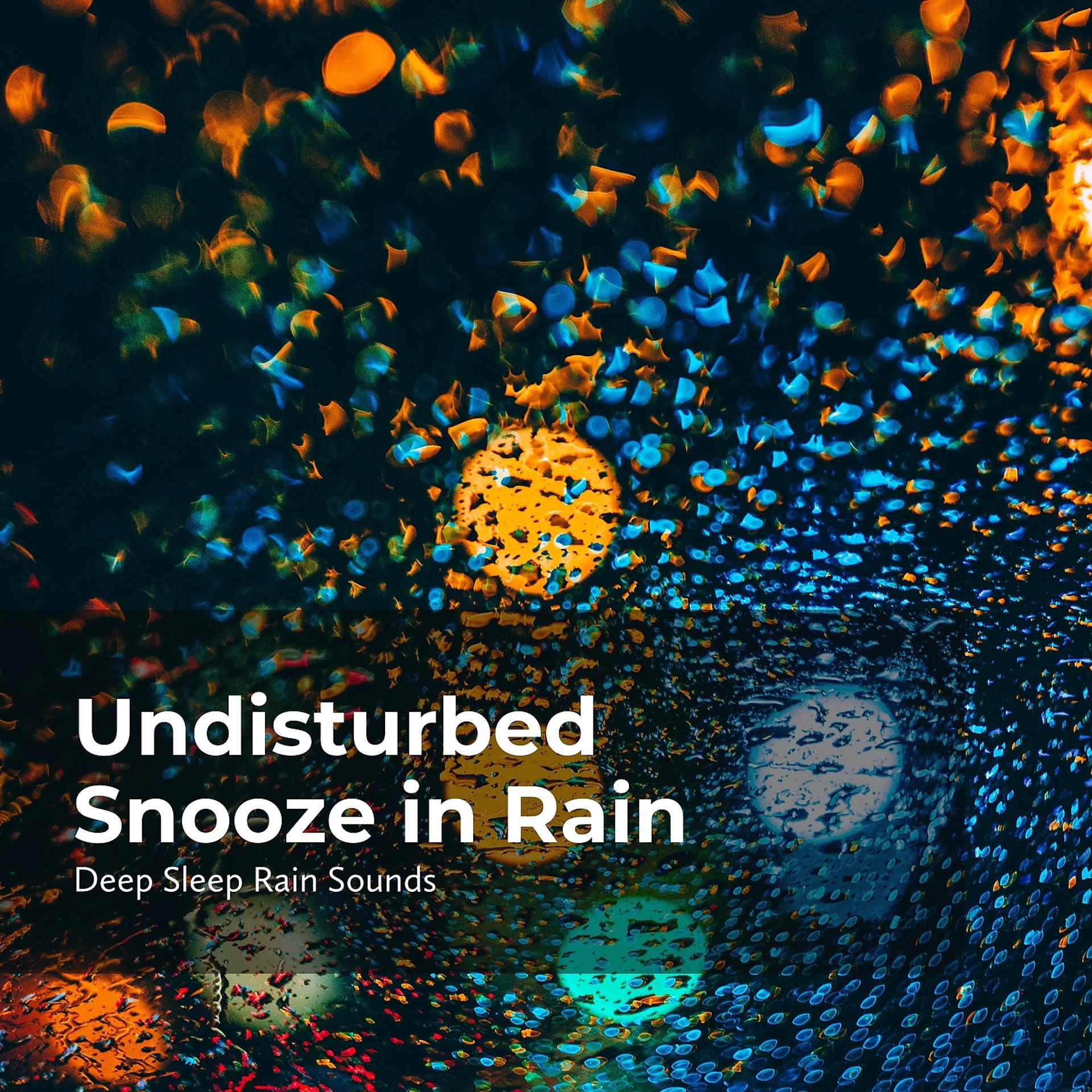 Постер альбома Undisturbed Snooze in Rain