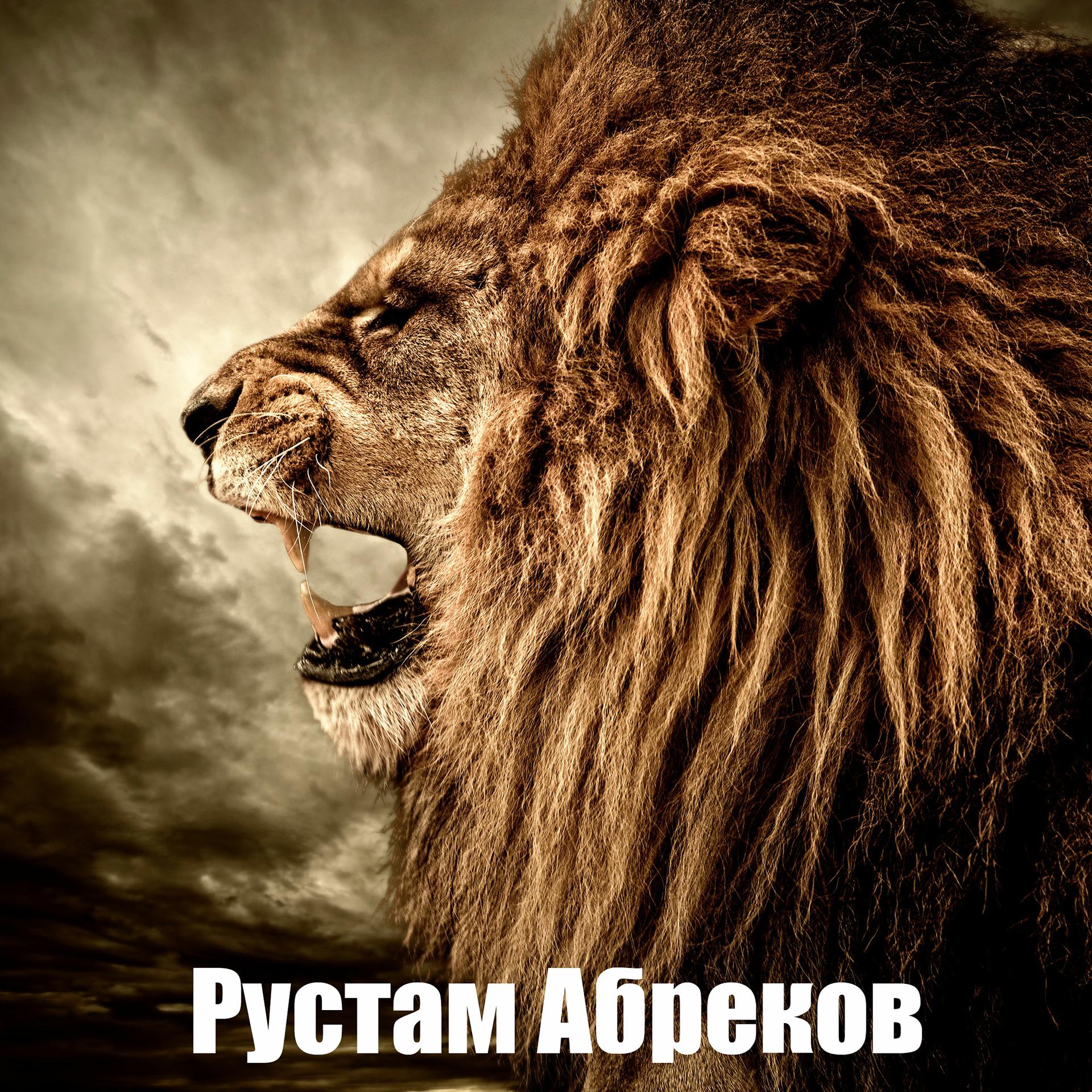 Постер альбома Рустам Абреков