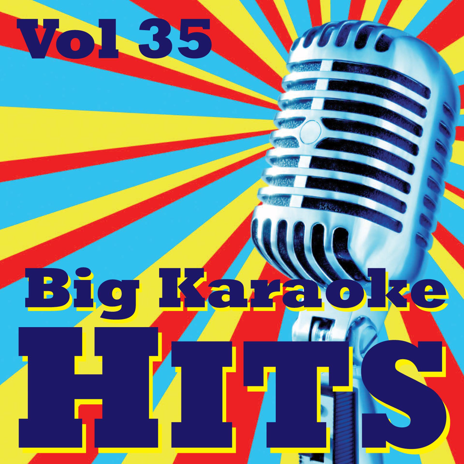 Постер альбома Big Karaoke Hits Vol.35