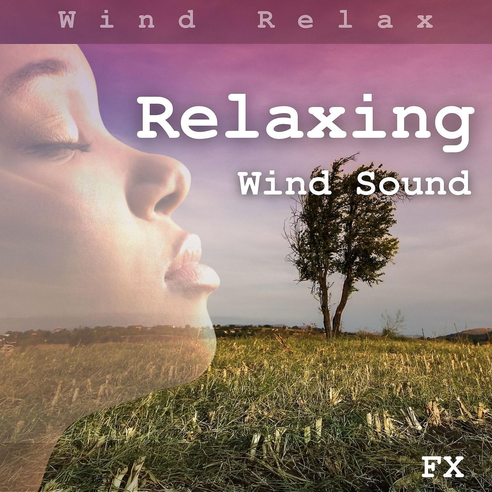 Постер альбома Relaxing Wind Sound FX