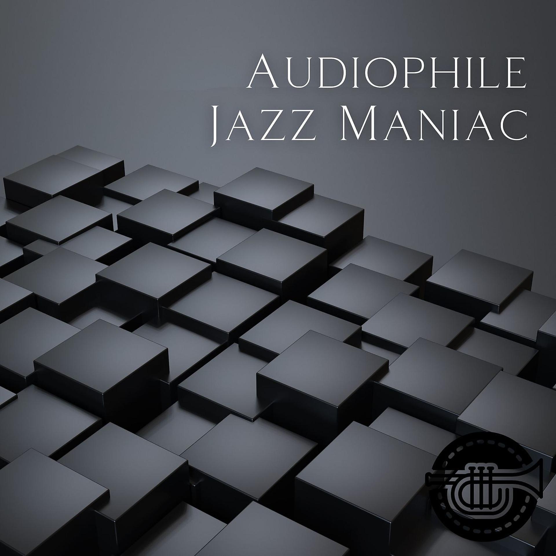 Постер альбома Audiophile Jazz Maniac #3