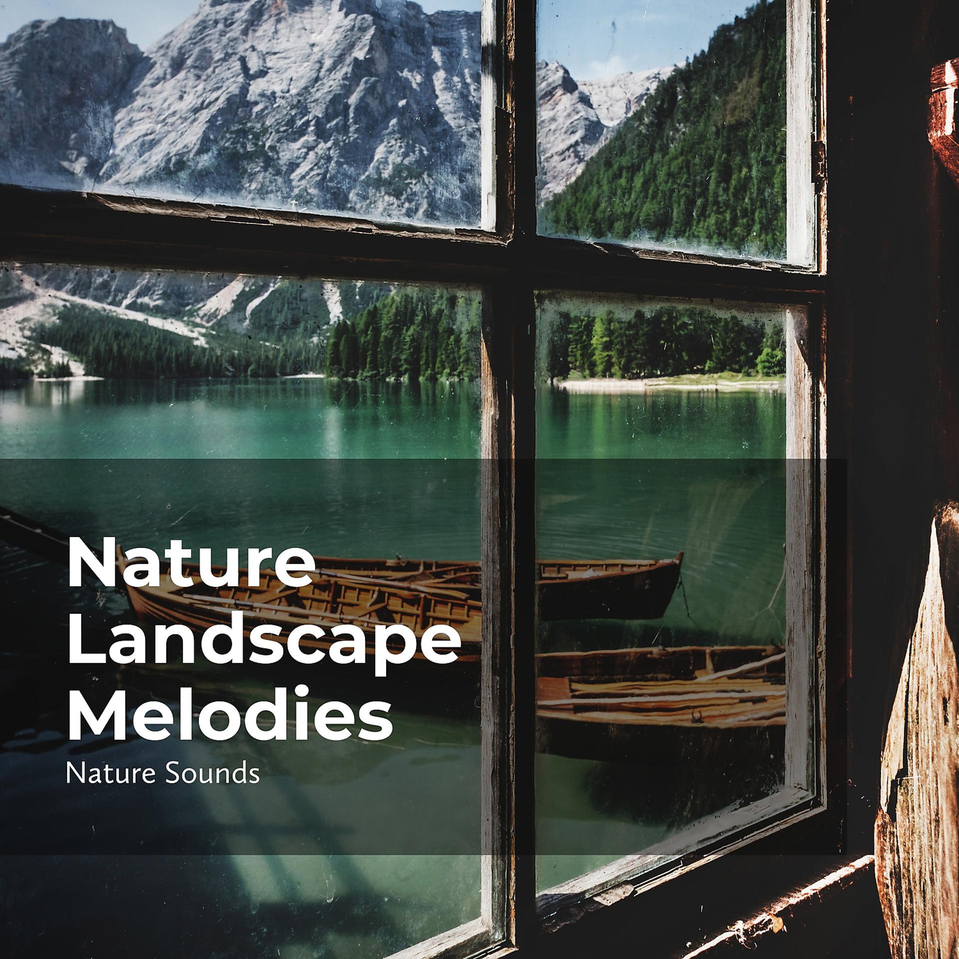 Постер альбома Nature Landscape Melodies