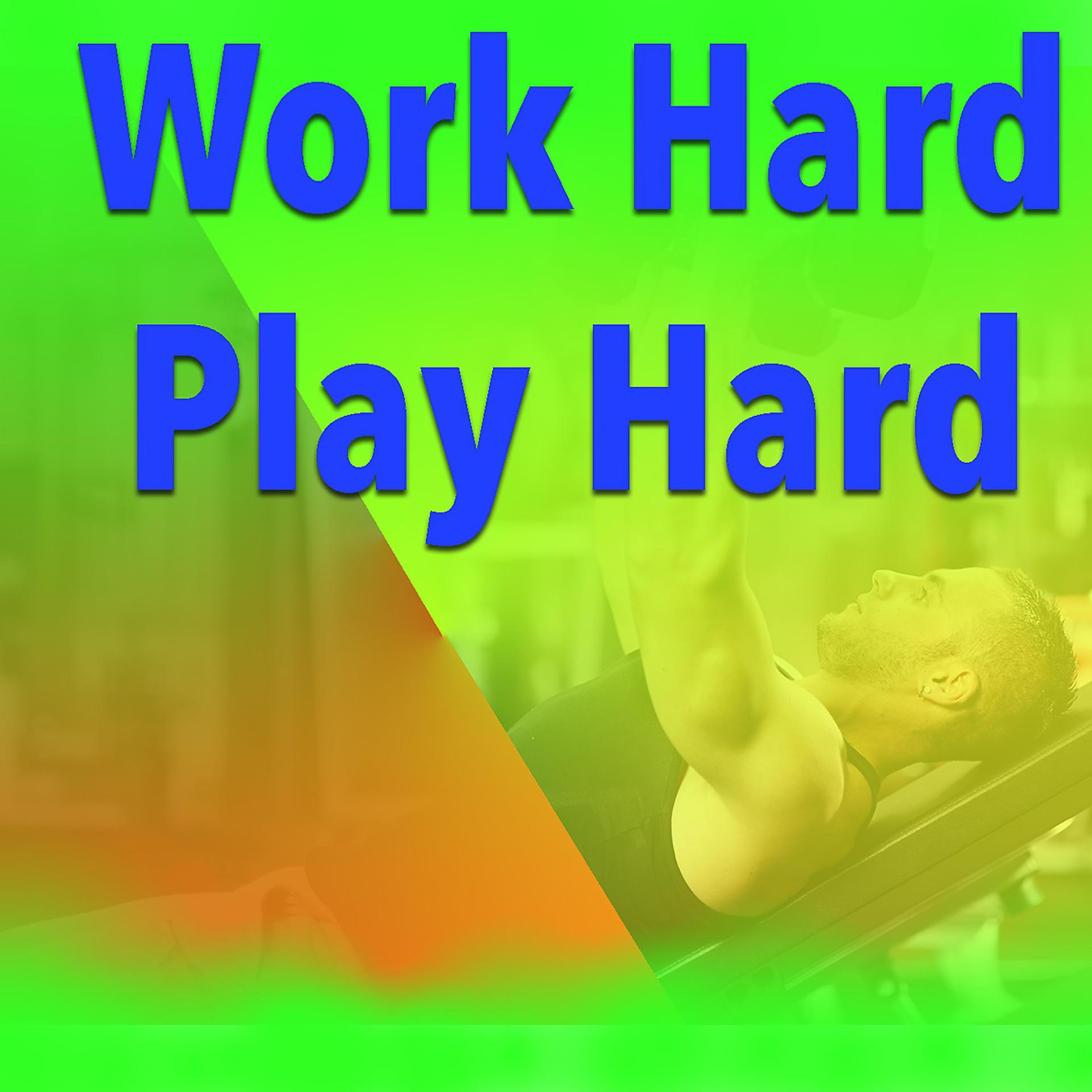 Постер альбома Work Hard Play Hard