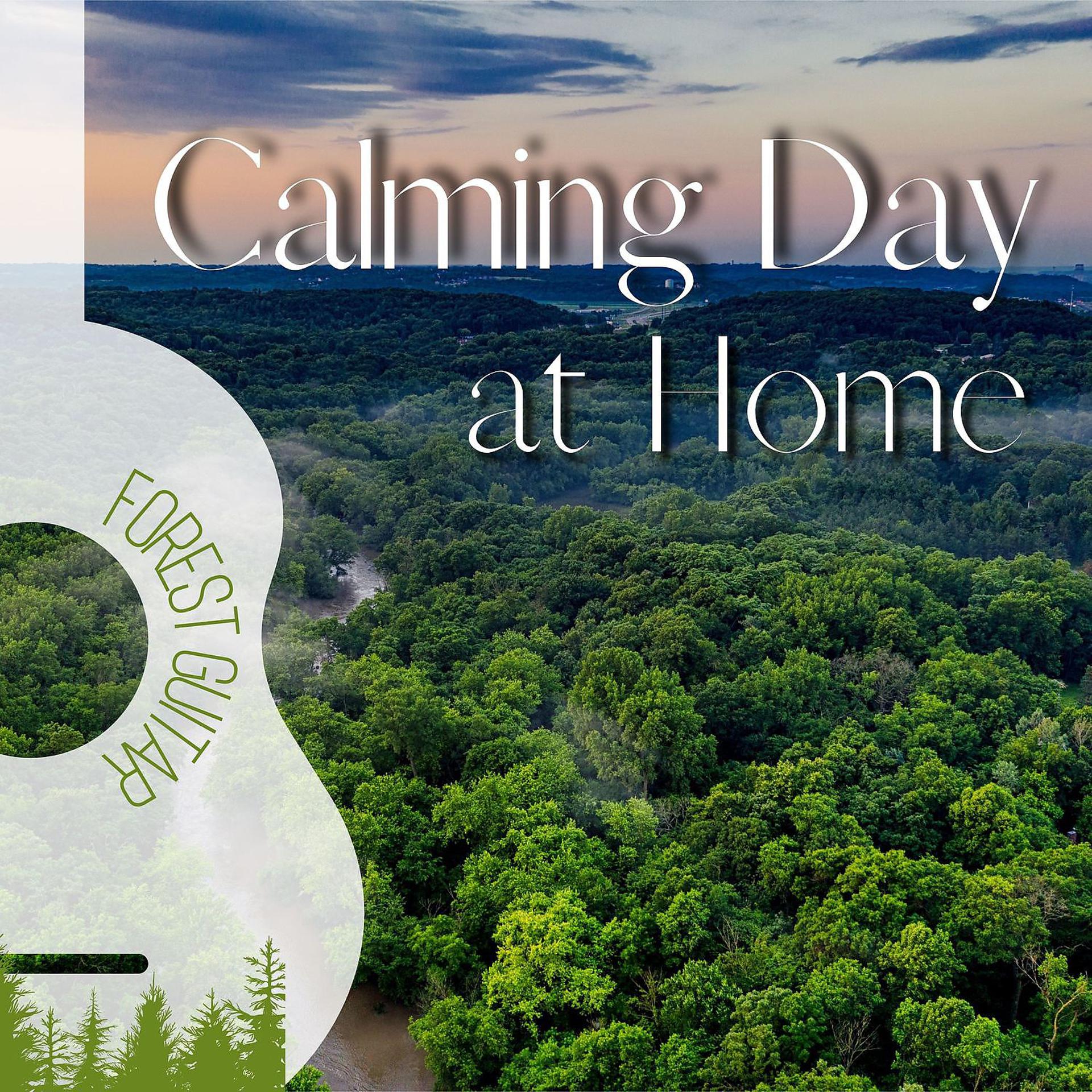 Постер альбома Calming Day at Home