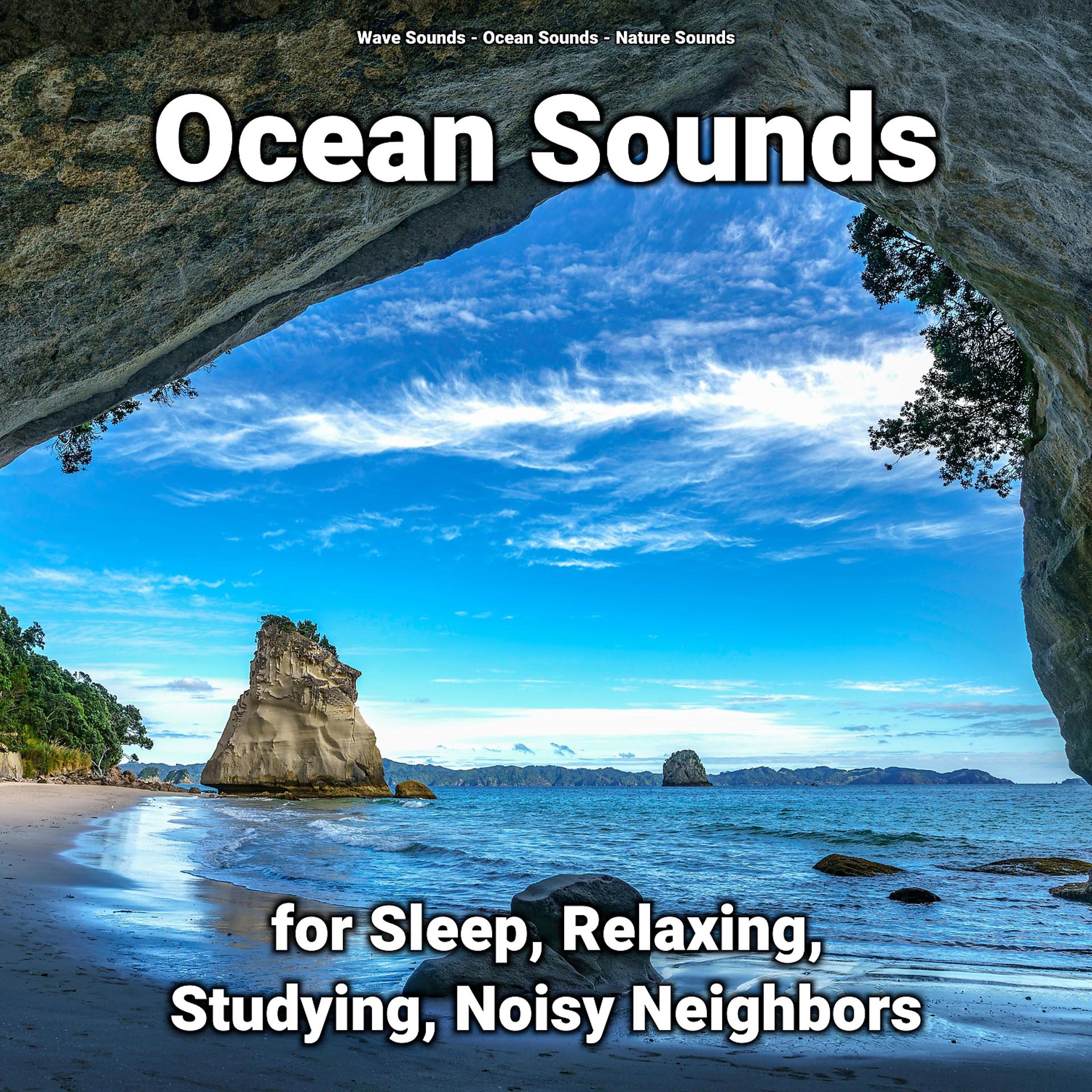 Постер альбома Ocean Sounds for Sleep, Relaxing, Studying, Noisy Neighbors
