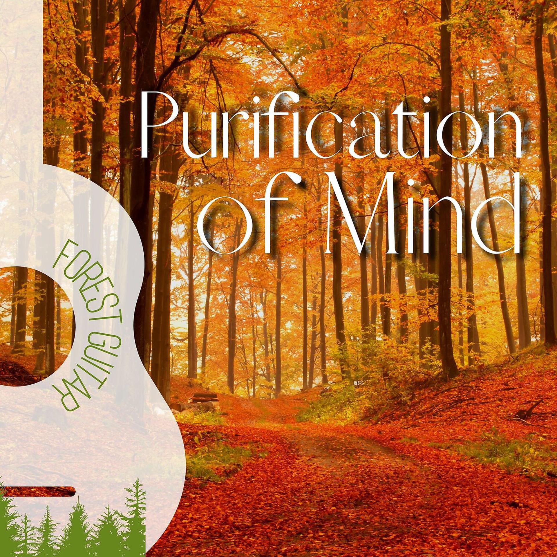 Постер альбома Purification of Mind - Guitar Music and Birds Sounds