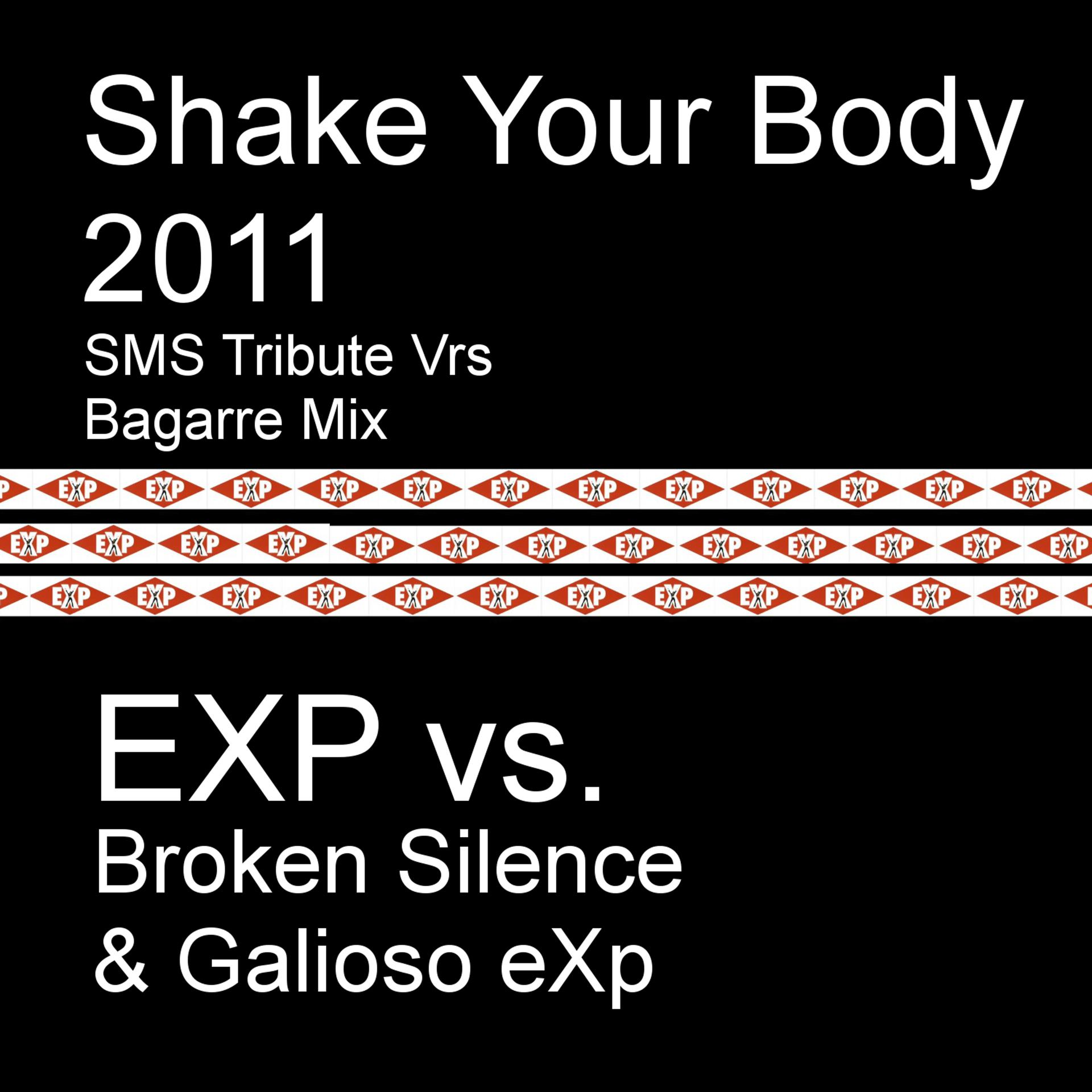 Постер альбома Shake Your Body 2011