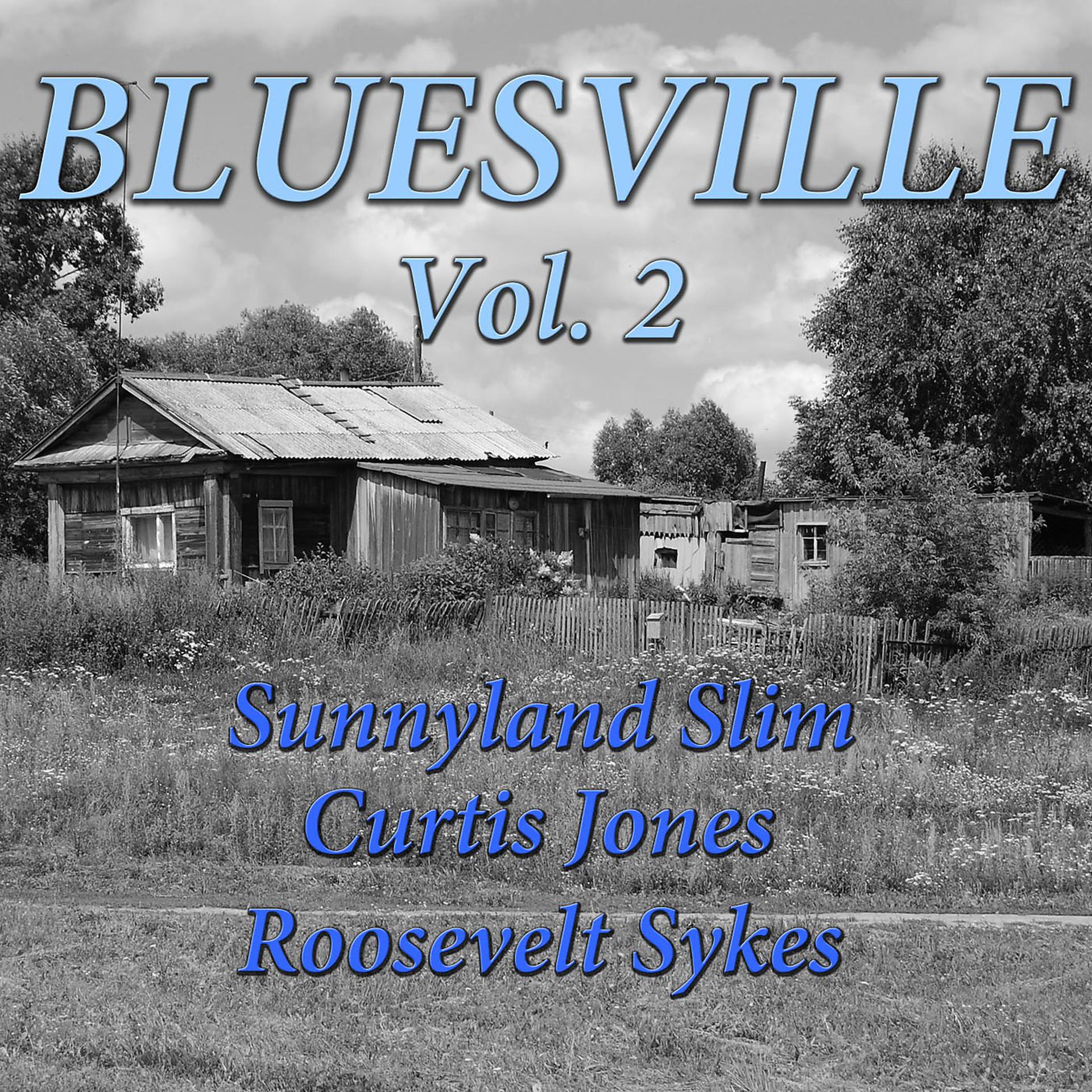Постер альбома Bluesville Vol. 2