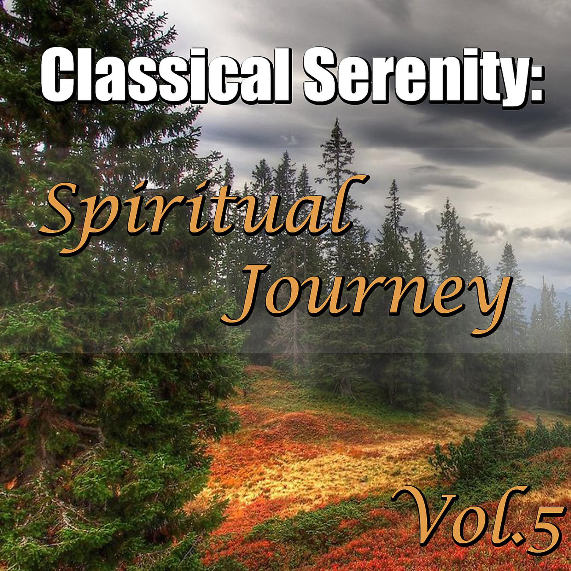 Постер альбома Classical Serenity: Spiritual Journey, Vol.5