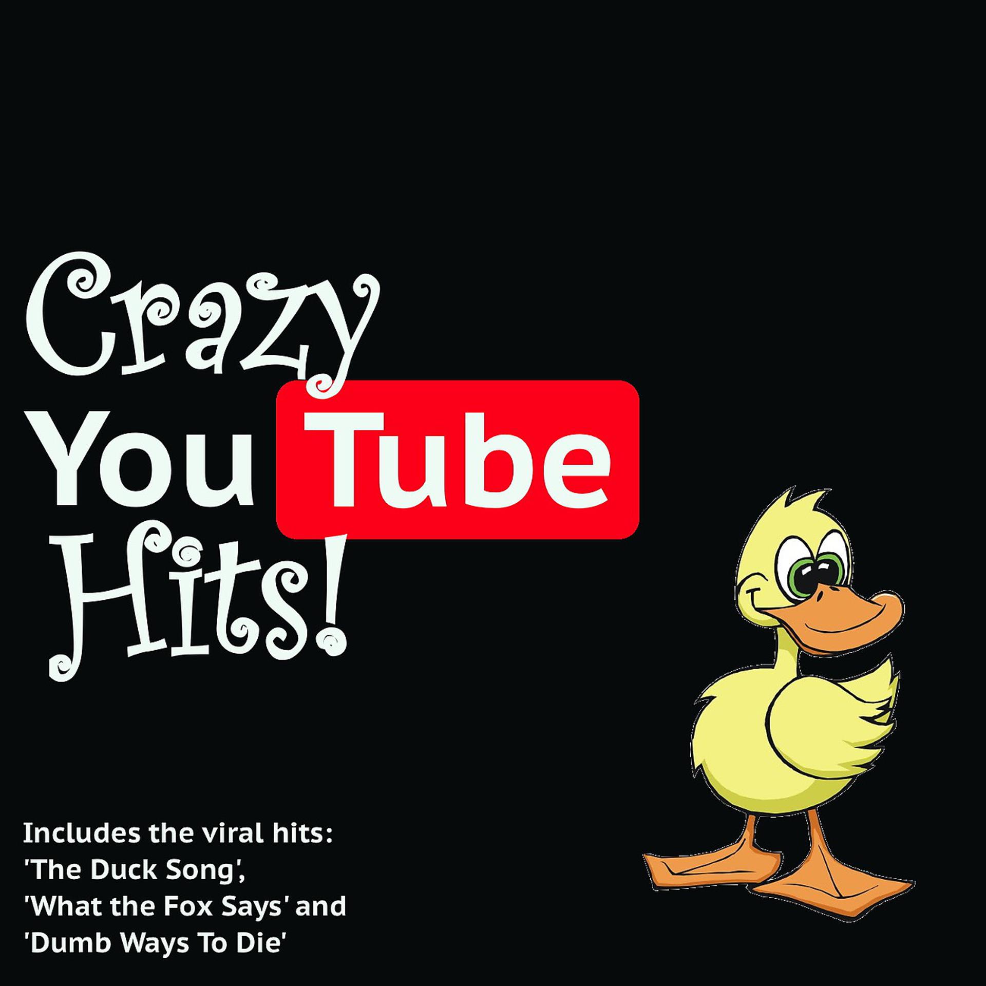 Постер альбома Crazy YouTube Hits!