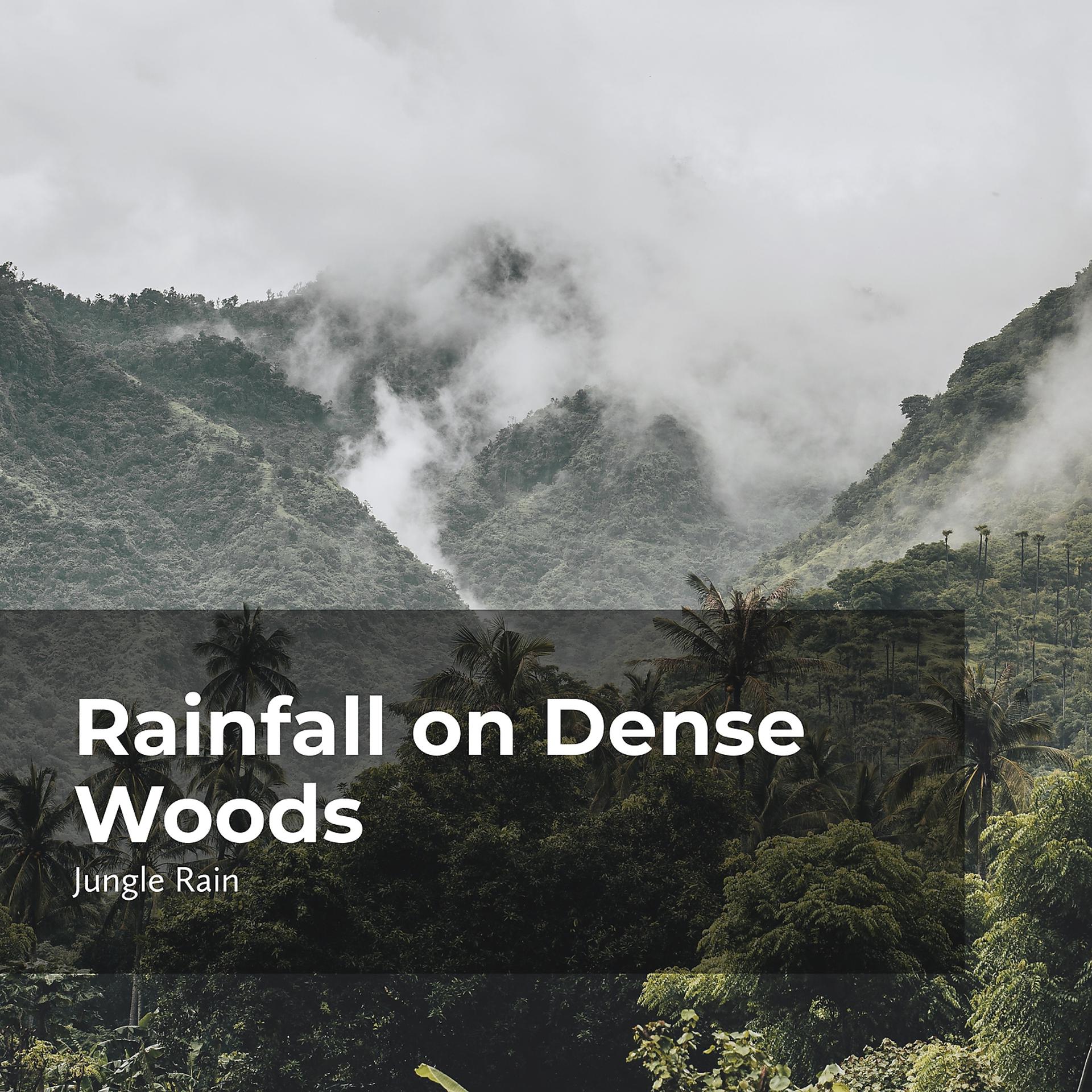 Постер альбома Rainfall on Dense Woods