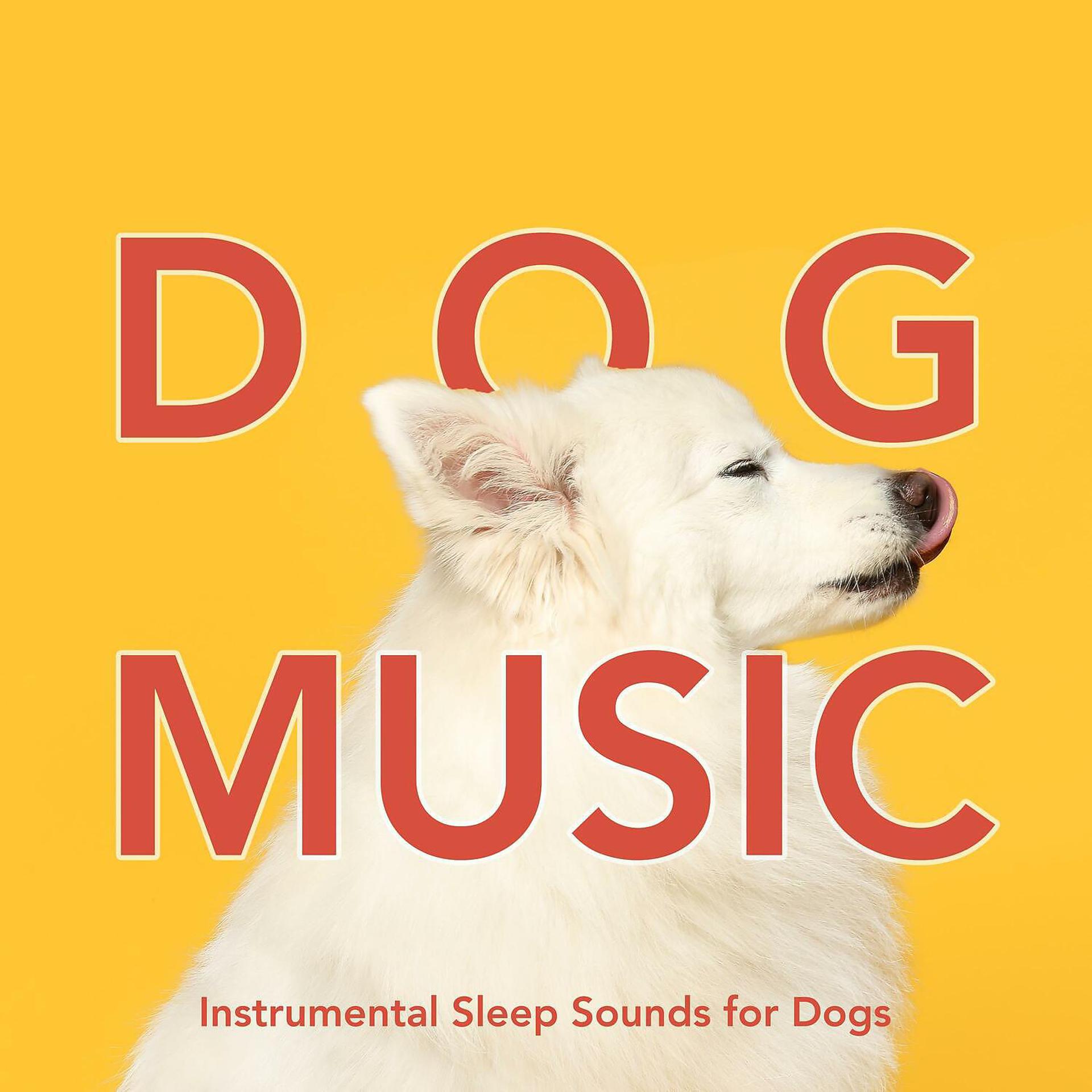 Постер альбома Dog Music: Instrumental Sleep Sounds for Dogs