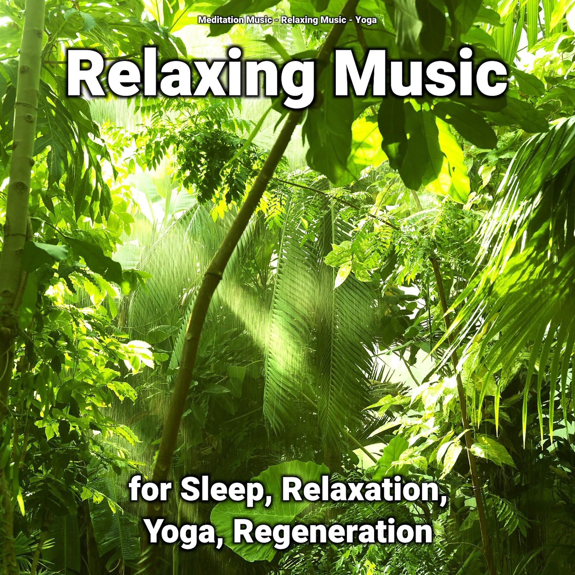 Постер альбома Relaxing Music for Sleep, Relaxation, Yoga, Regeneration