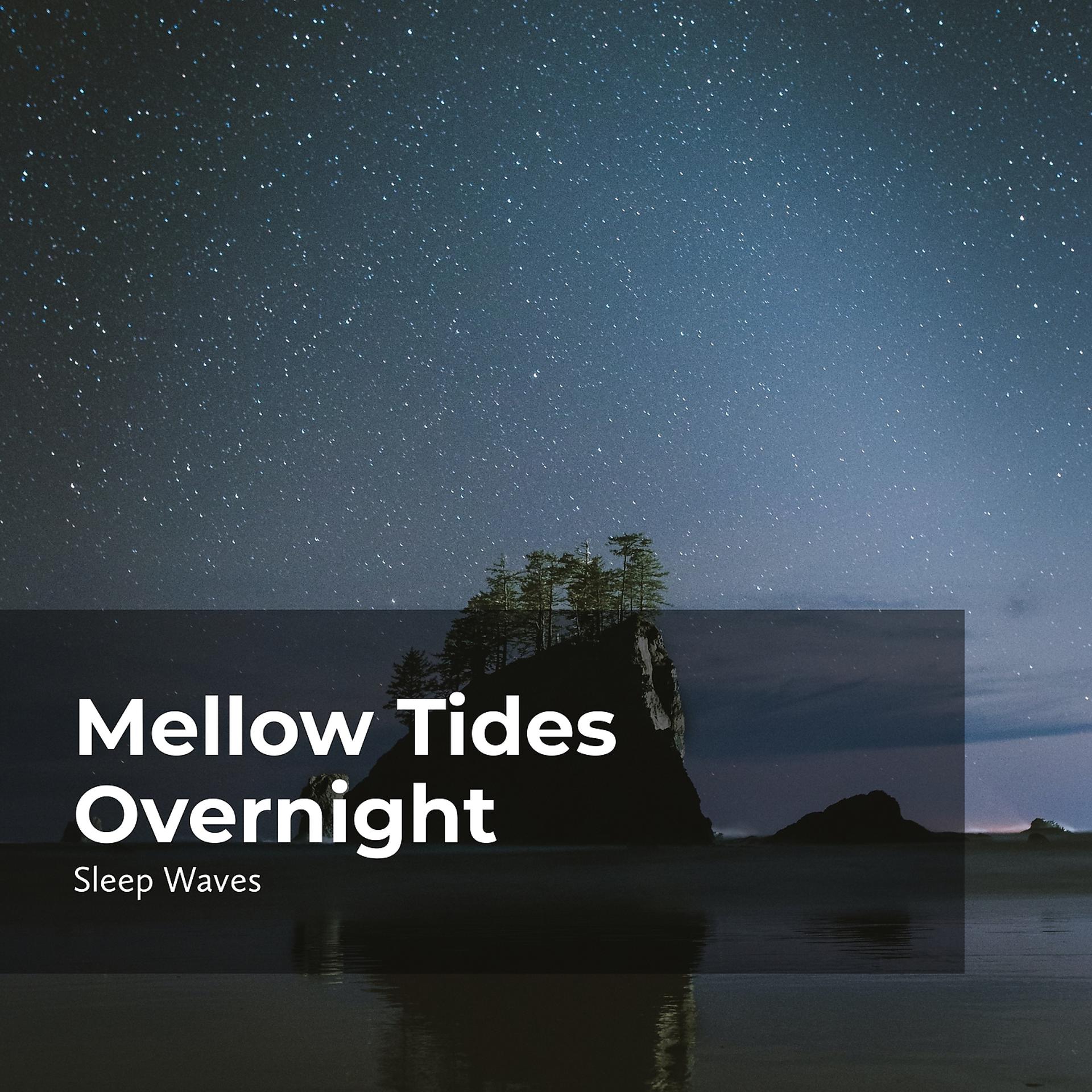 Постер альбома Mellow Tides Overnight