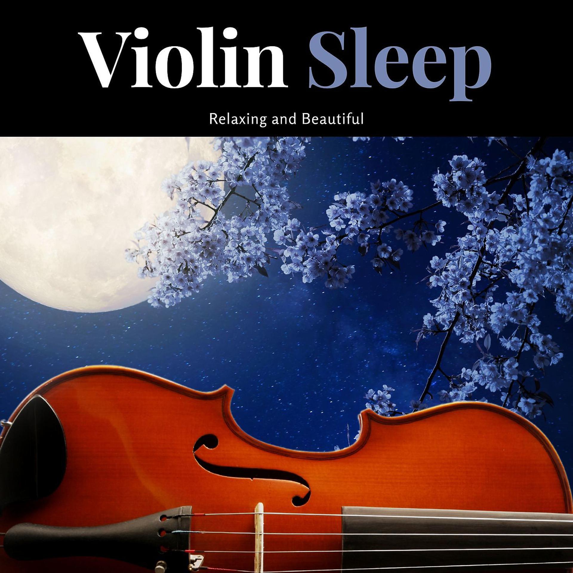 Постер альбома Violin Sleep, Relaxing and Beautiful