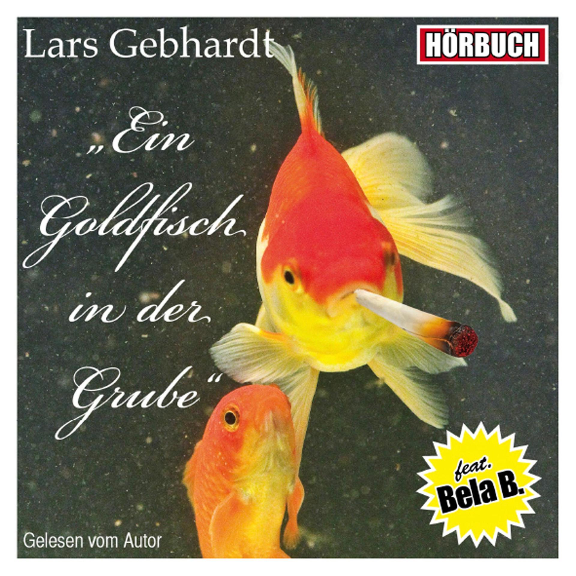 Постер альбома Ein Goldfisch in Der Grube