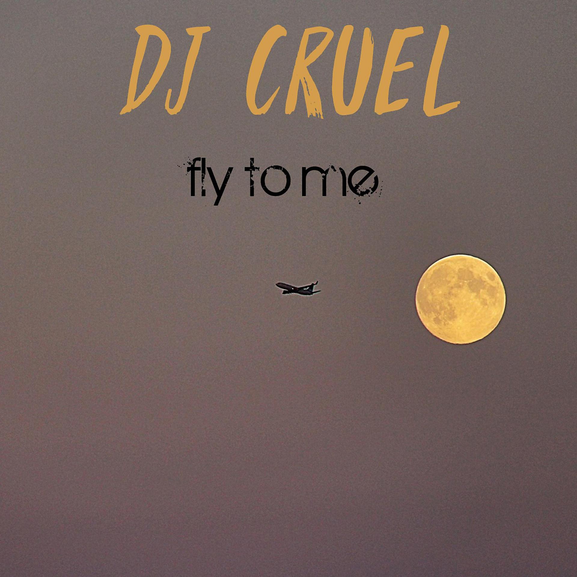 Постер альбома Fly To Me