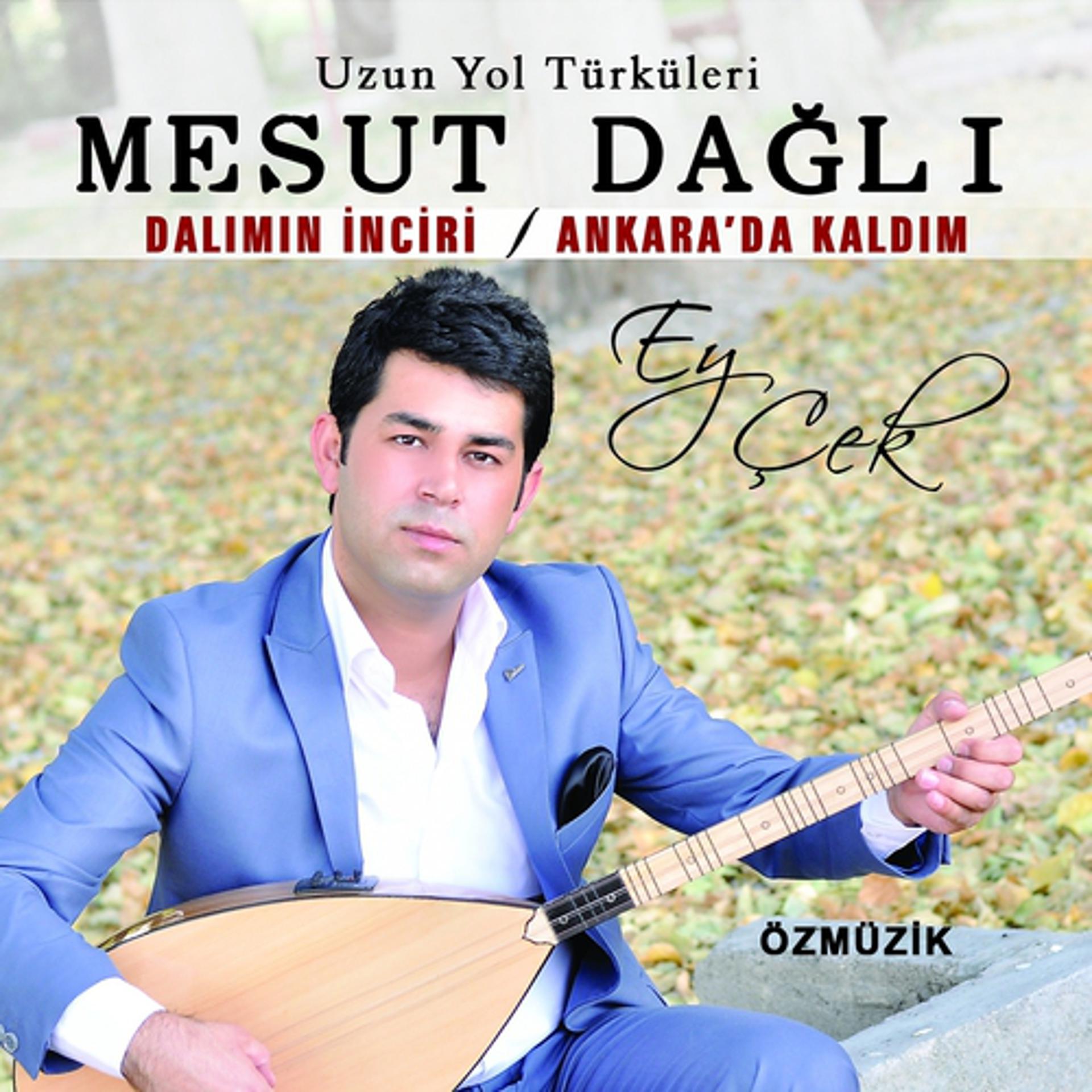 Постер альбома Ey Çek / Dalımın İnciri