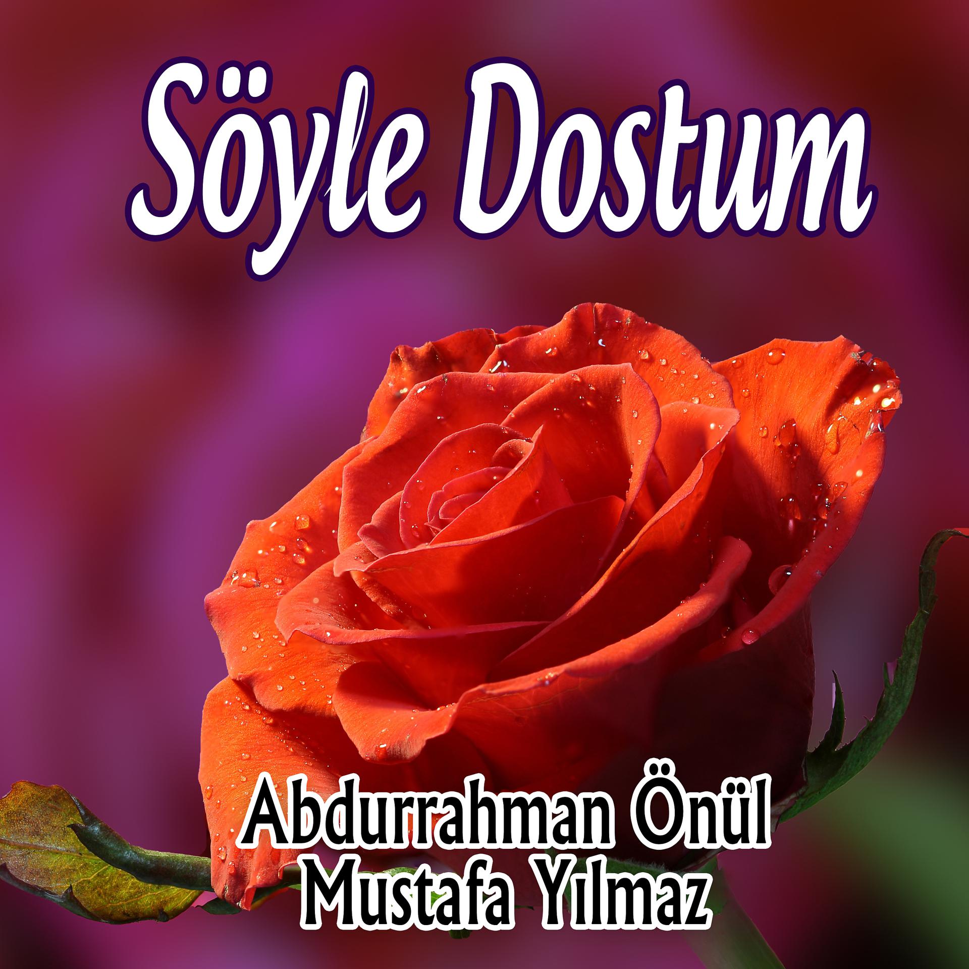 Постер альбома Söyle Dostum