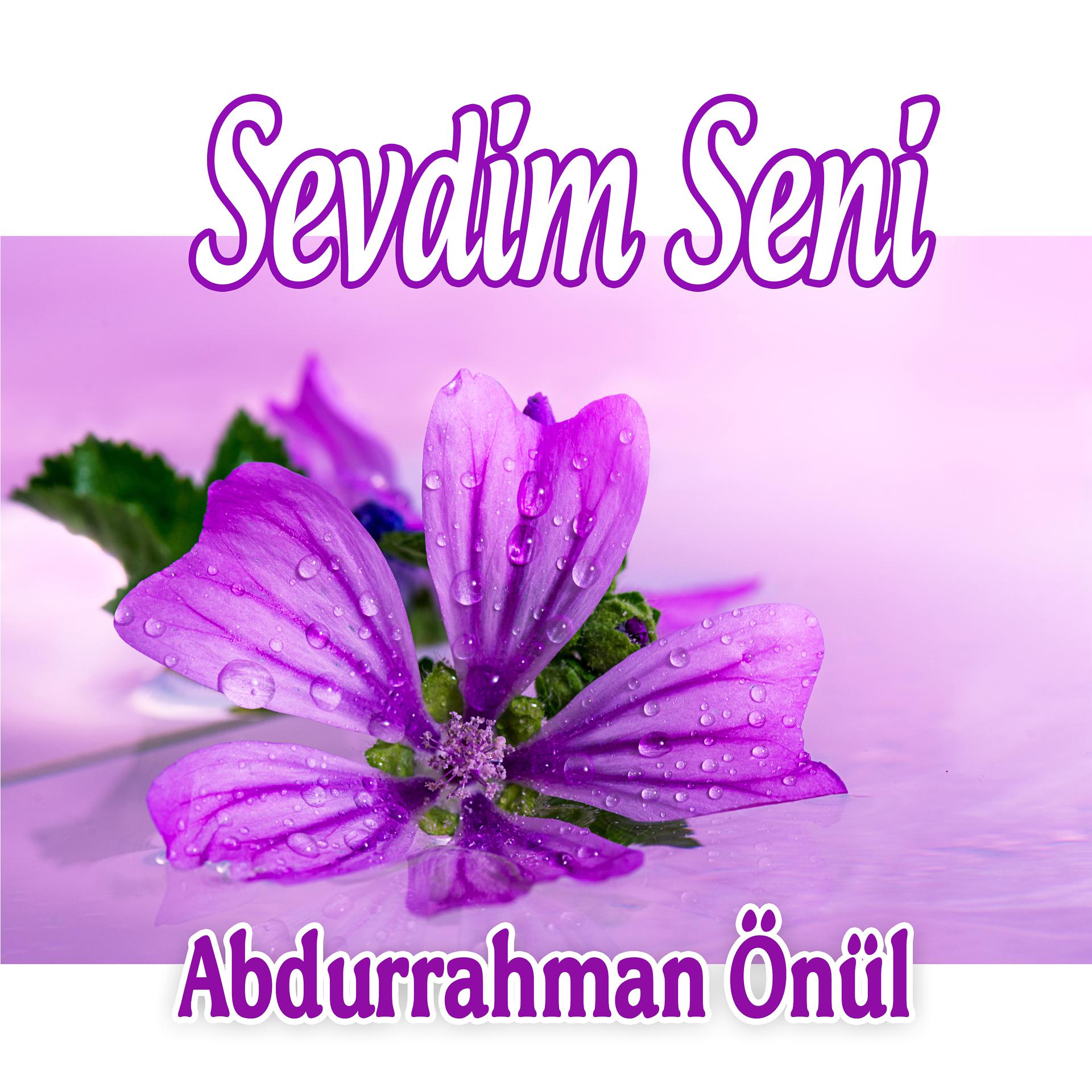 Постер альбома Sevdim Seni