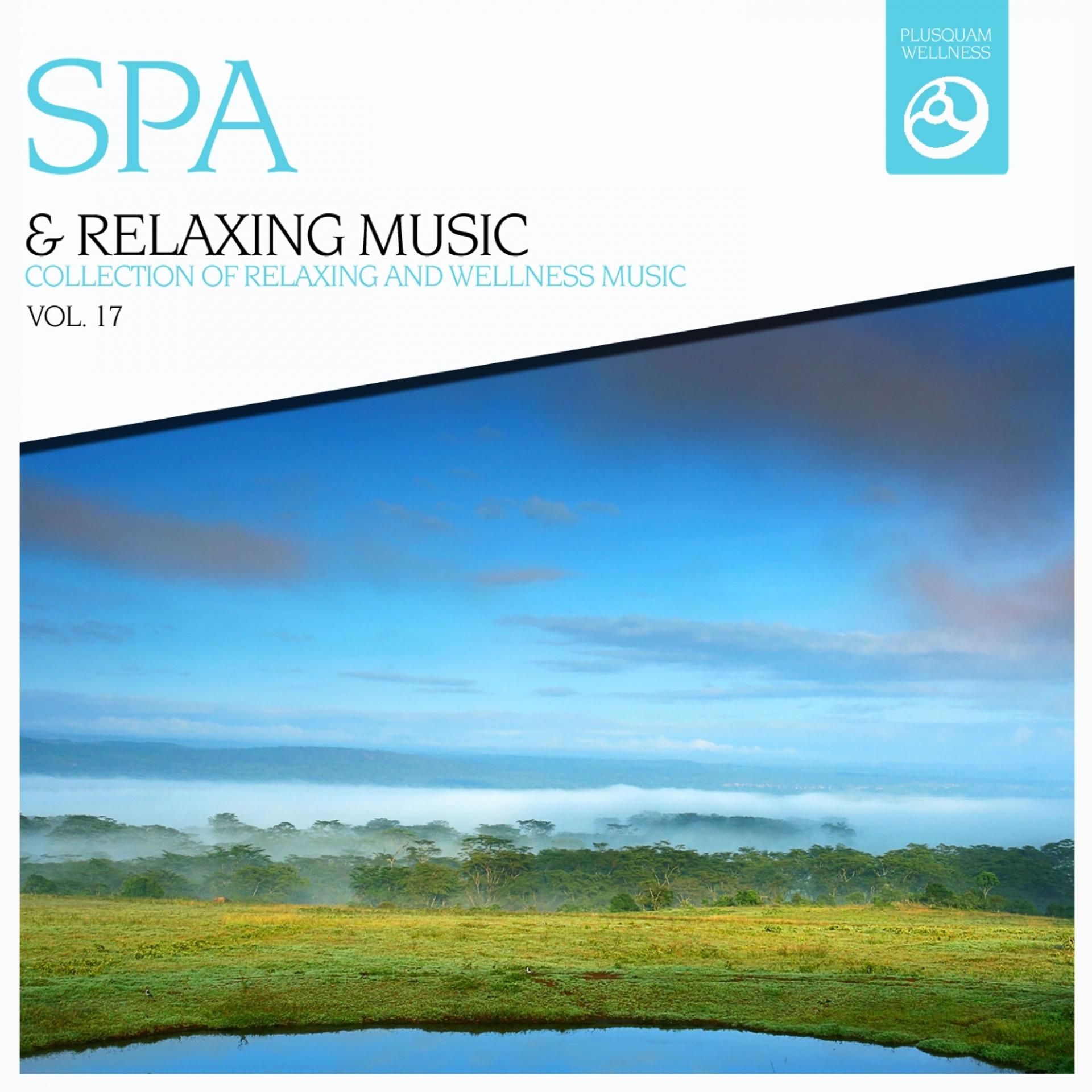 Постер альбома SPA & Relaxing Music, Vol. 17