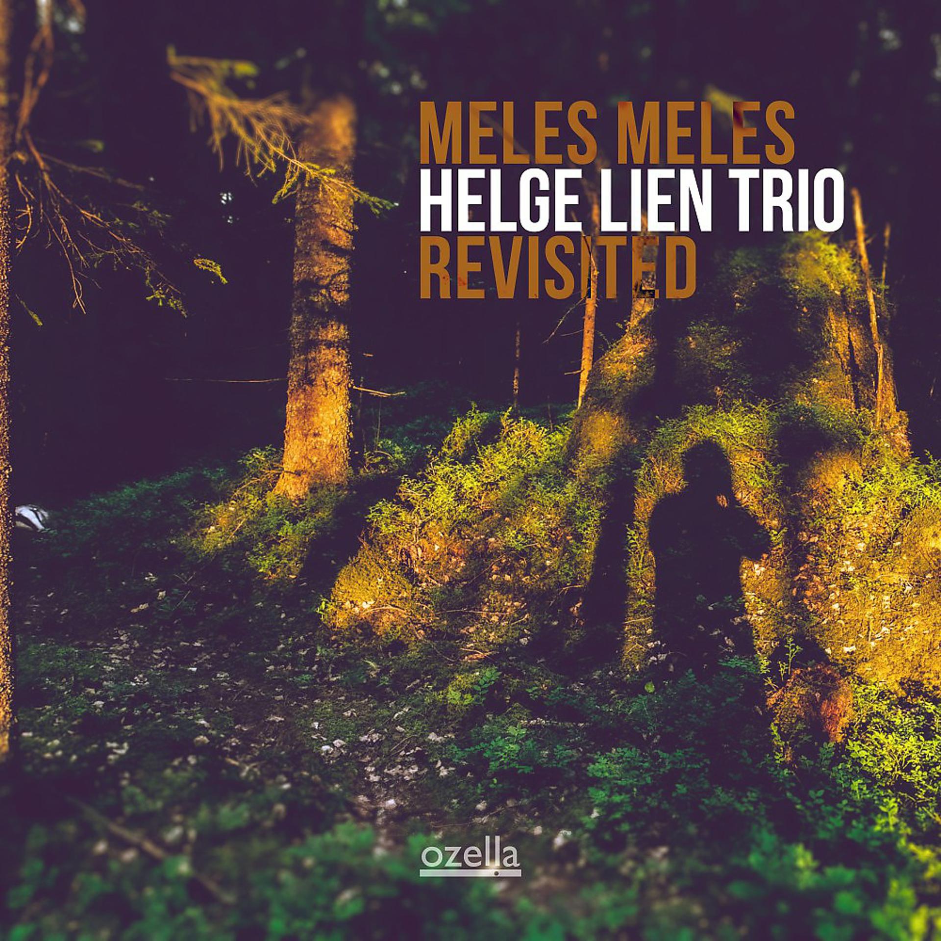 Постер альбома Meles Meles Revisited