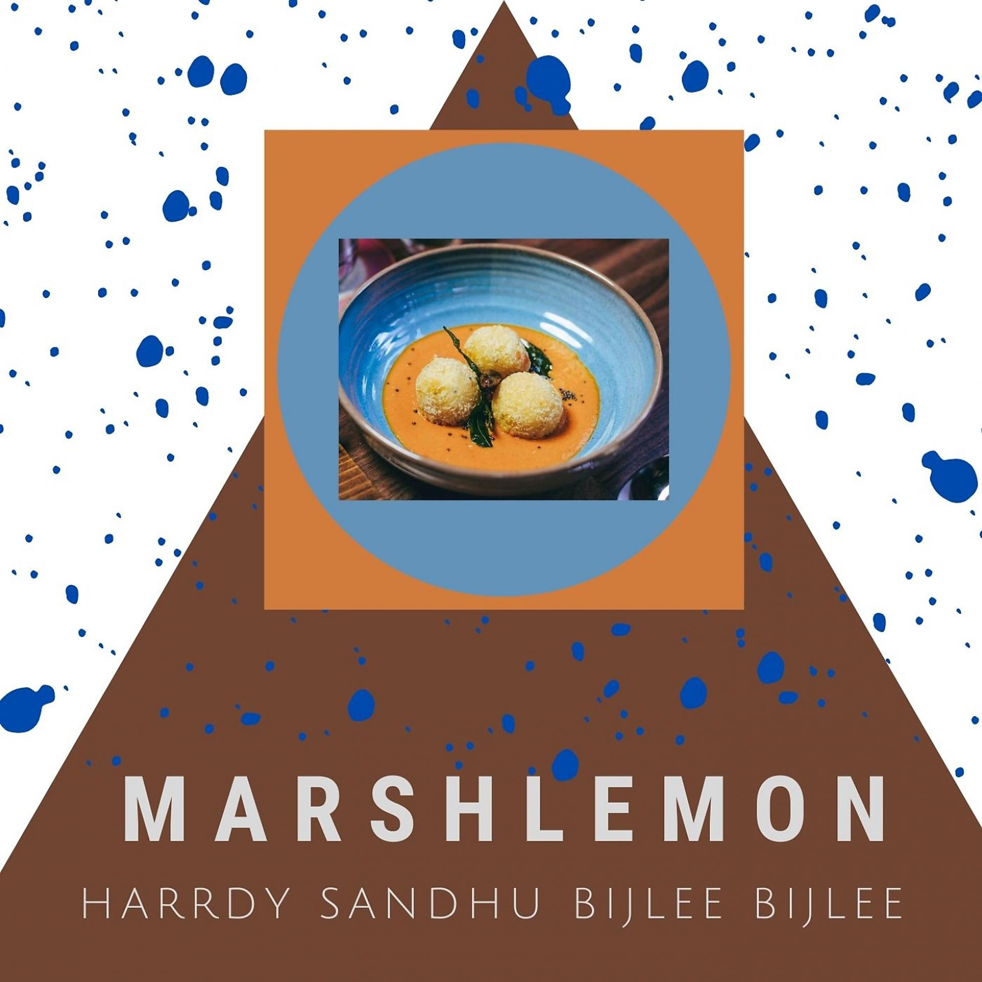 Постер альбома Harrdy Sandhu Bijlee Bijlee