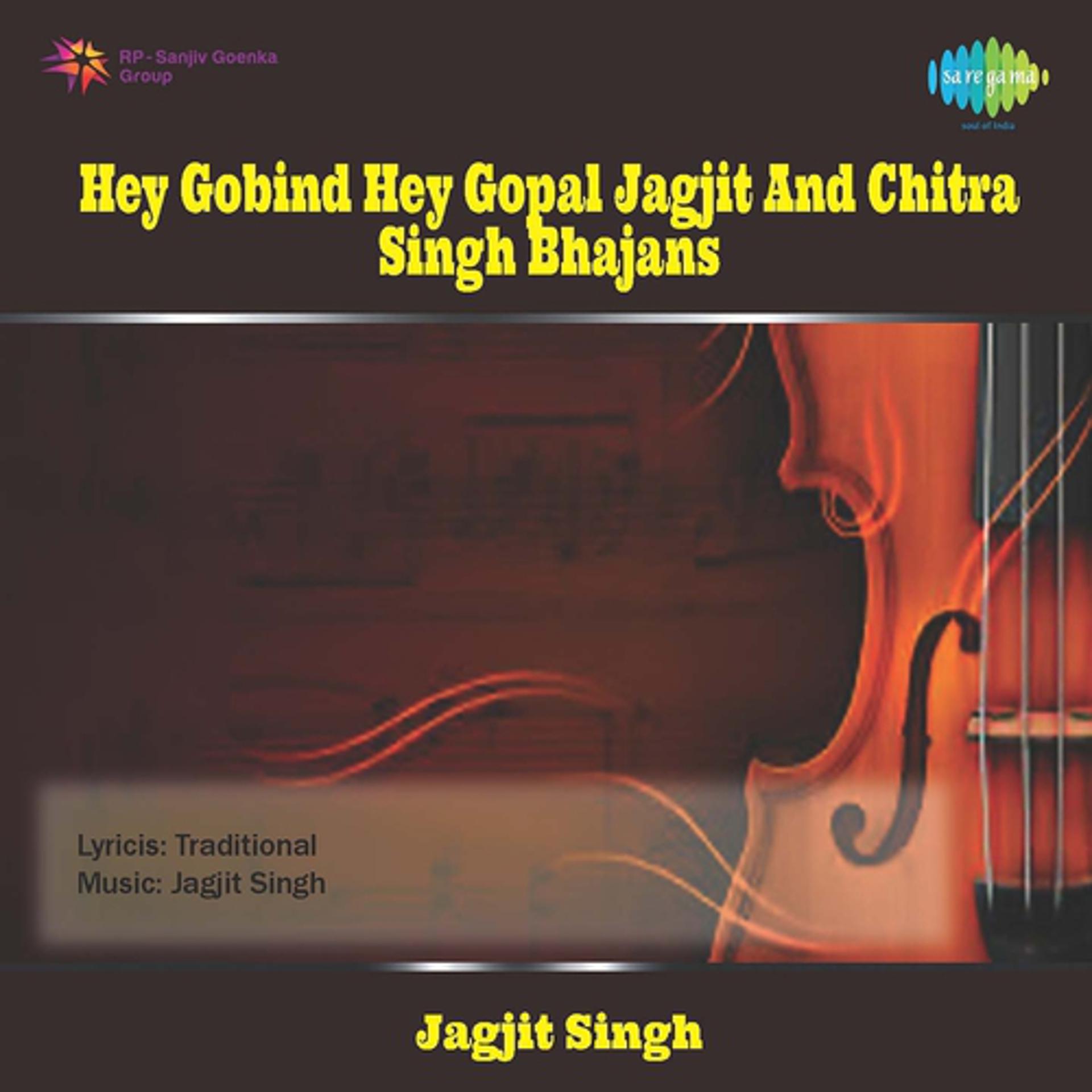 Постер альбома Hey Gobind Hey Gopal Jagjit And Chitra Singh Bhajans