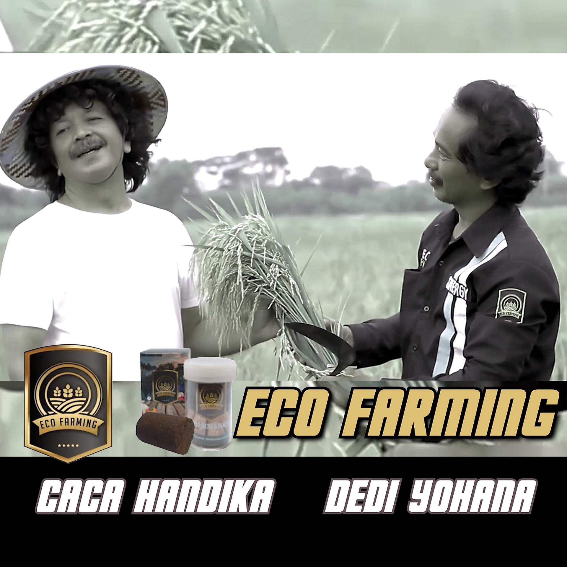Постер альбома Eco Farming