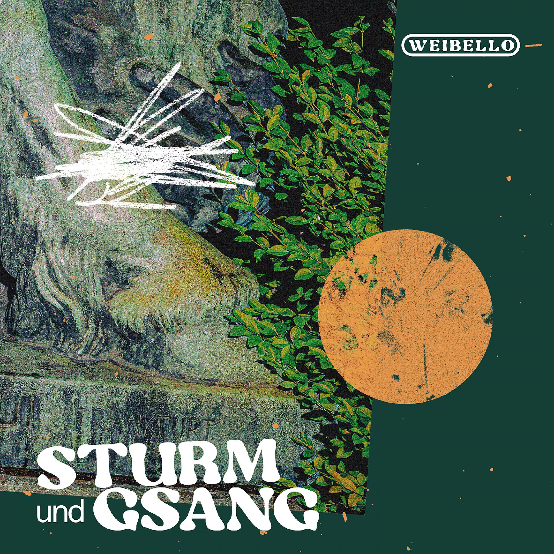 Постер альбома Sturm und Gsang