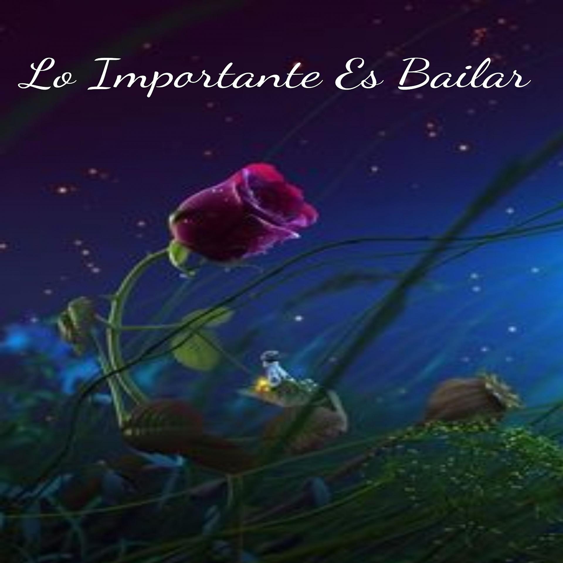 Постер альбома Lo Importante Es Bailar