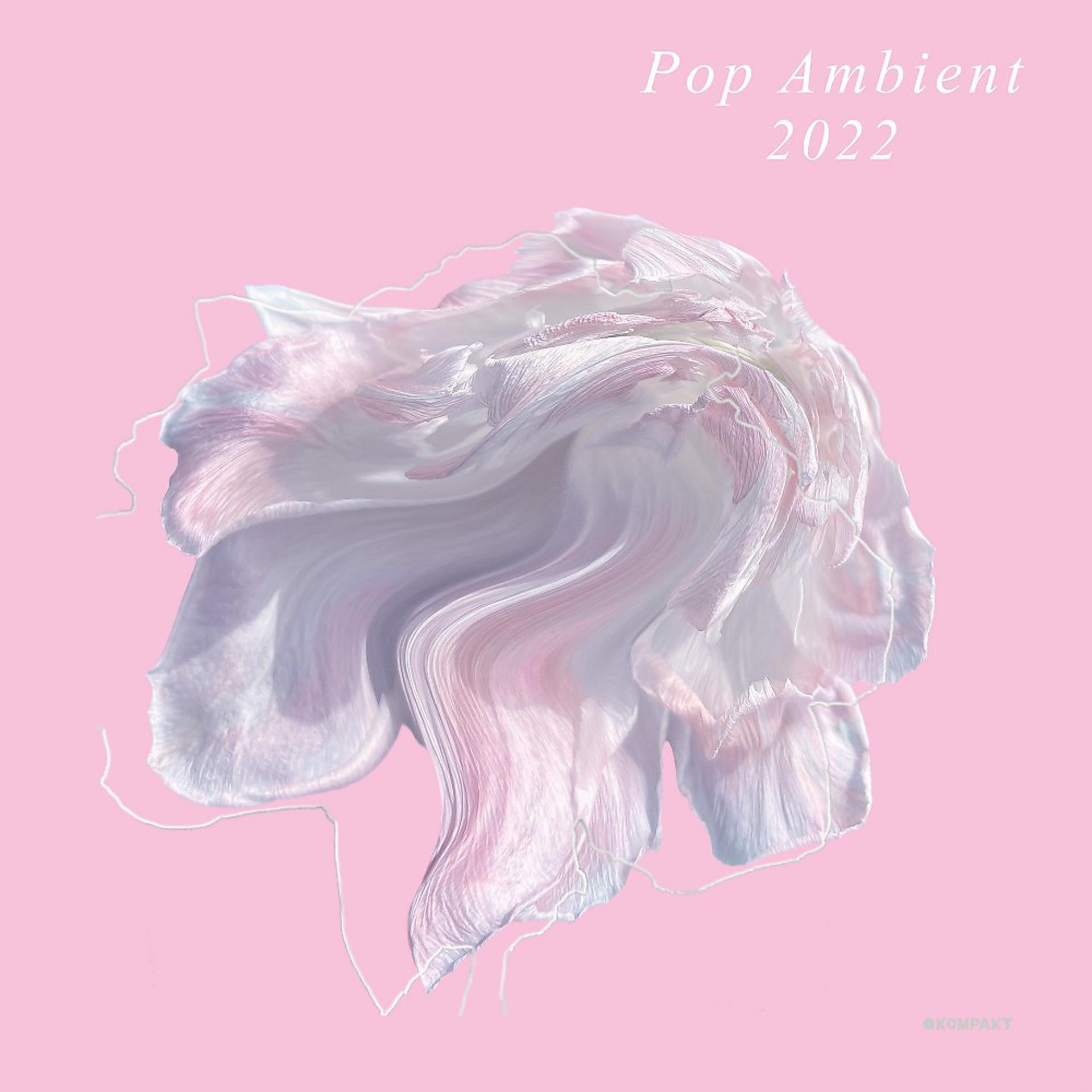 Постер альбома Pop Ambient 2022