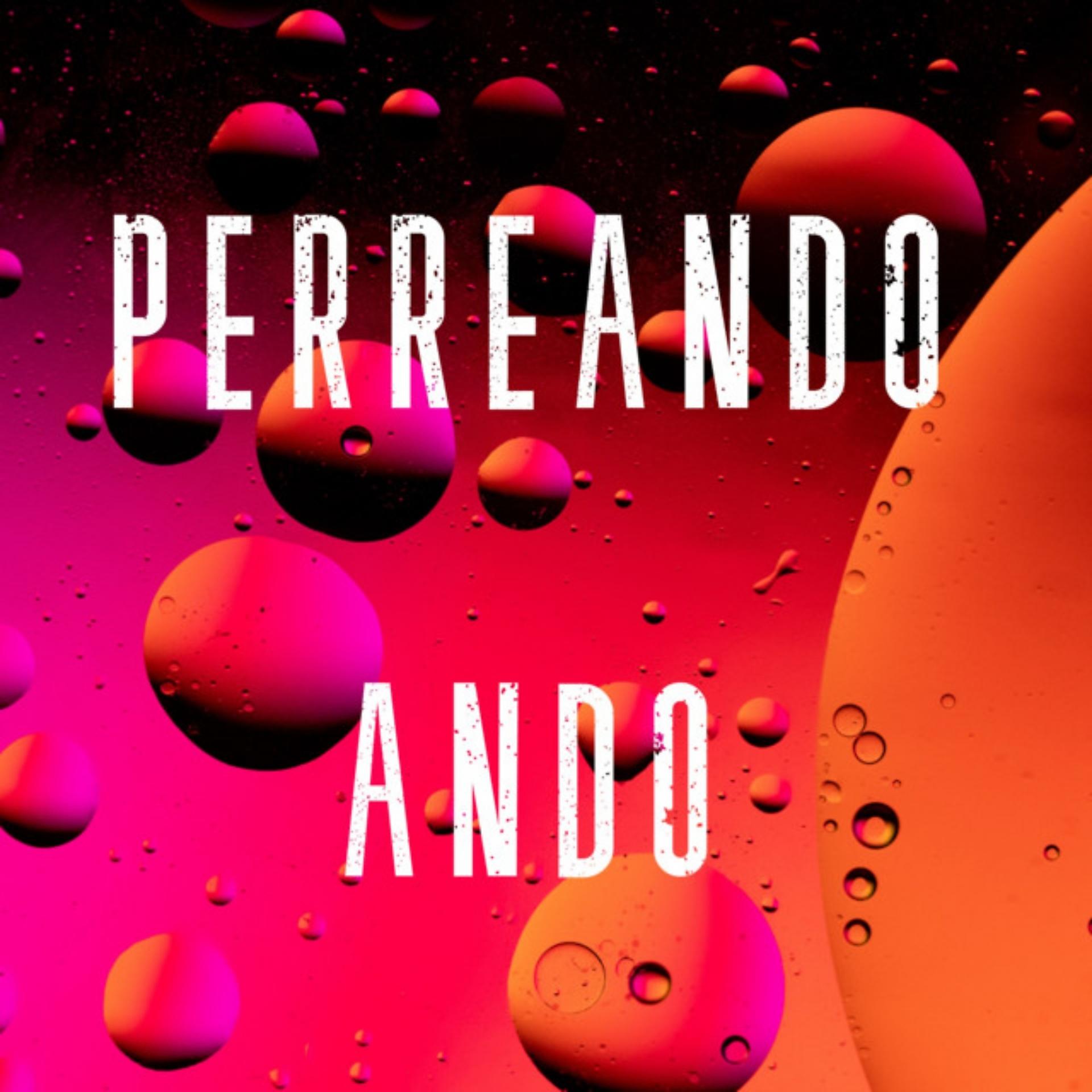 Постер альбома Perreando ando