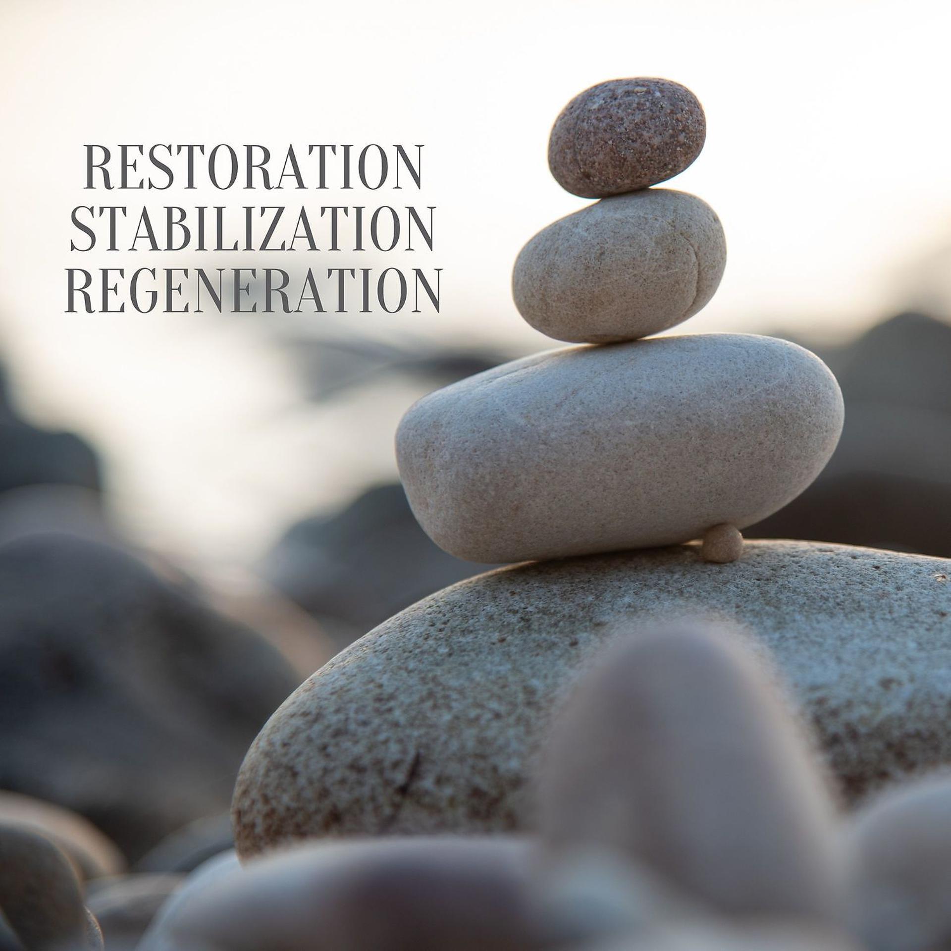 Постер альбома Restoration, Stabilization, Regeneration