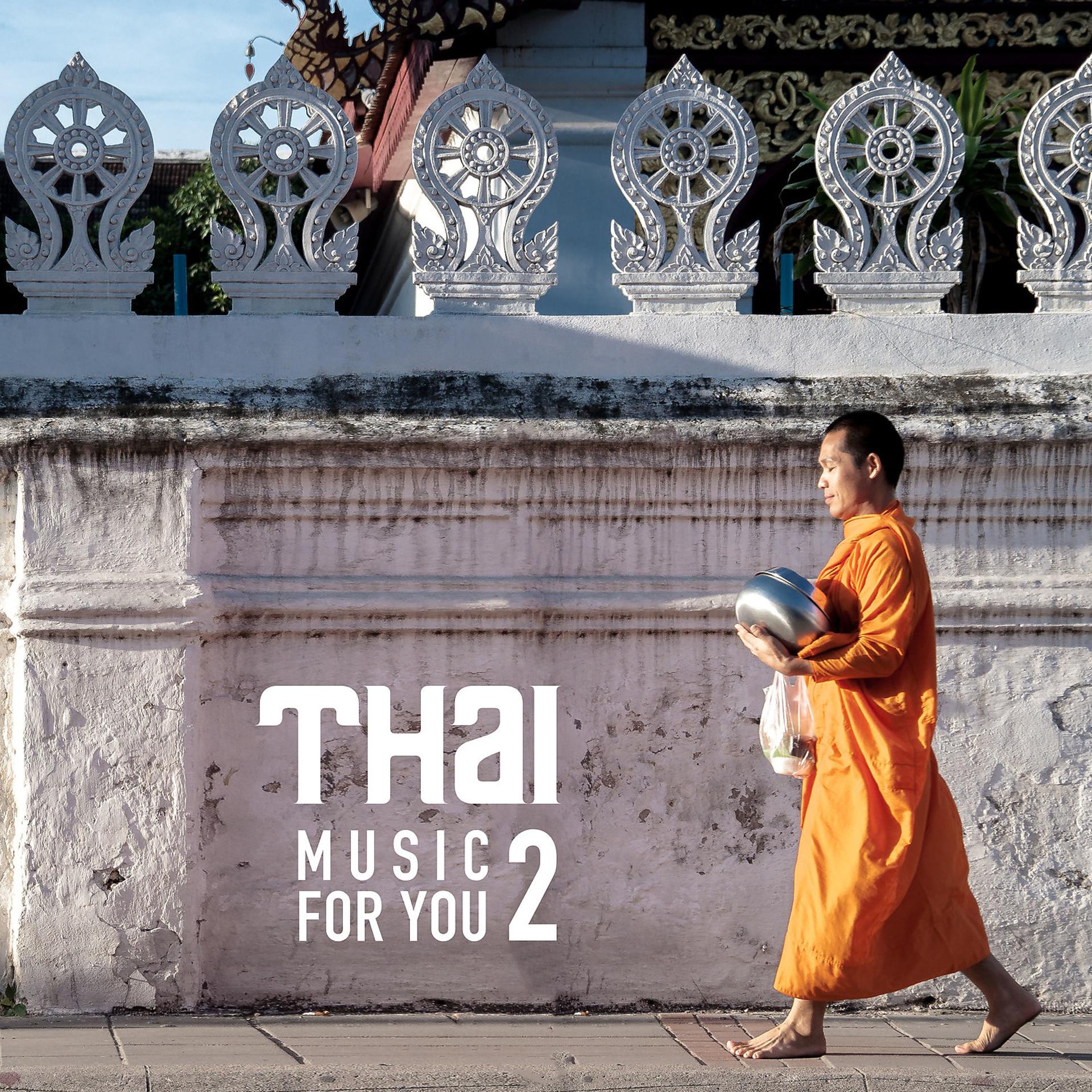 Постер альбома Thai Music for You Vol. 2