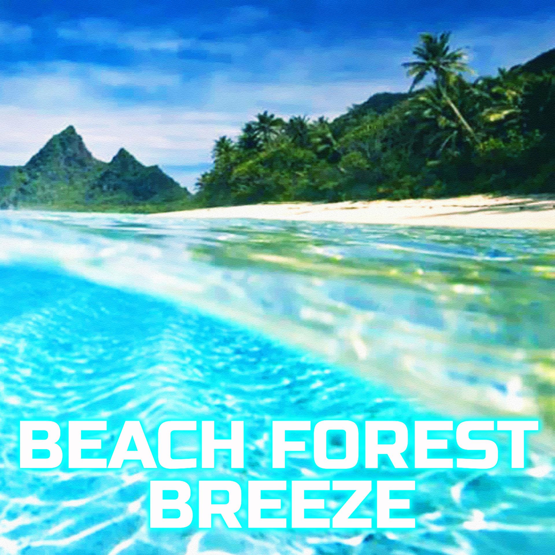Постер альбома Beach Forest Breeze (feat. Nature Breeze)
