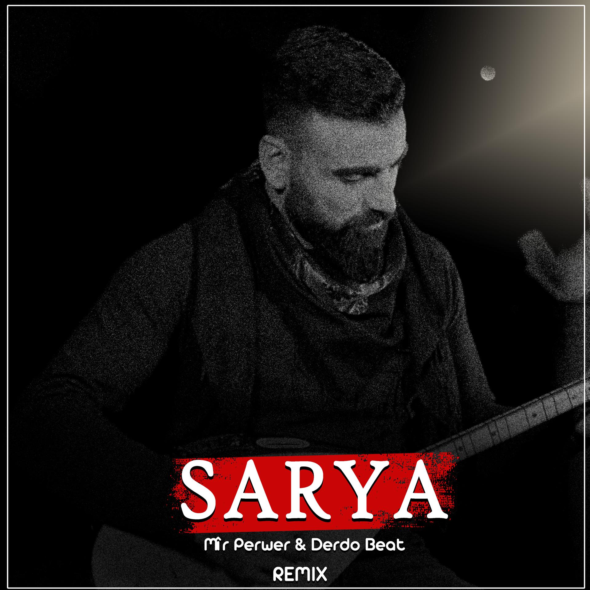 Постер альбома Sarya (Remix)
