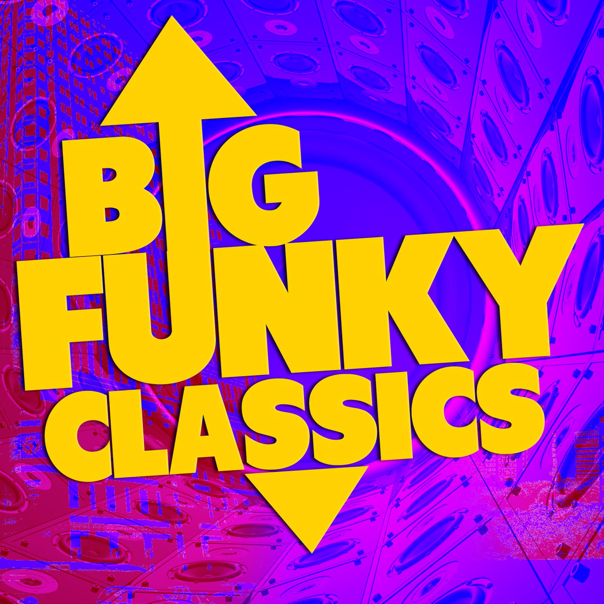 Постер альбома Big Funky Classics