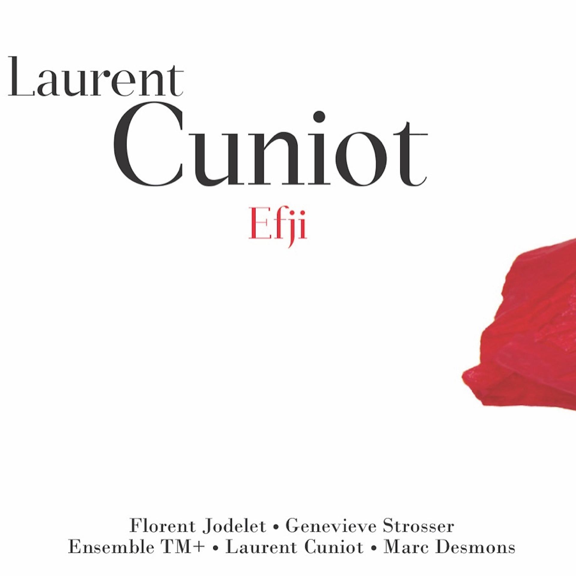Постер альбома Laurent Cuniot - Efji