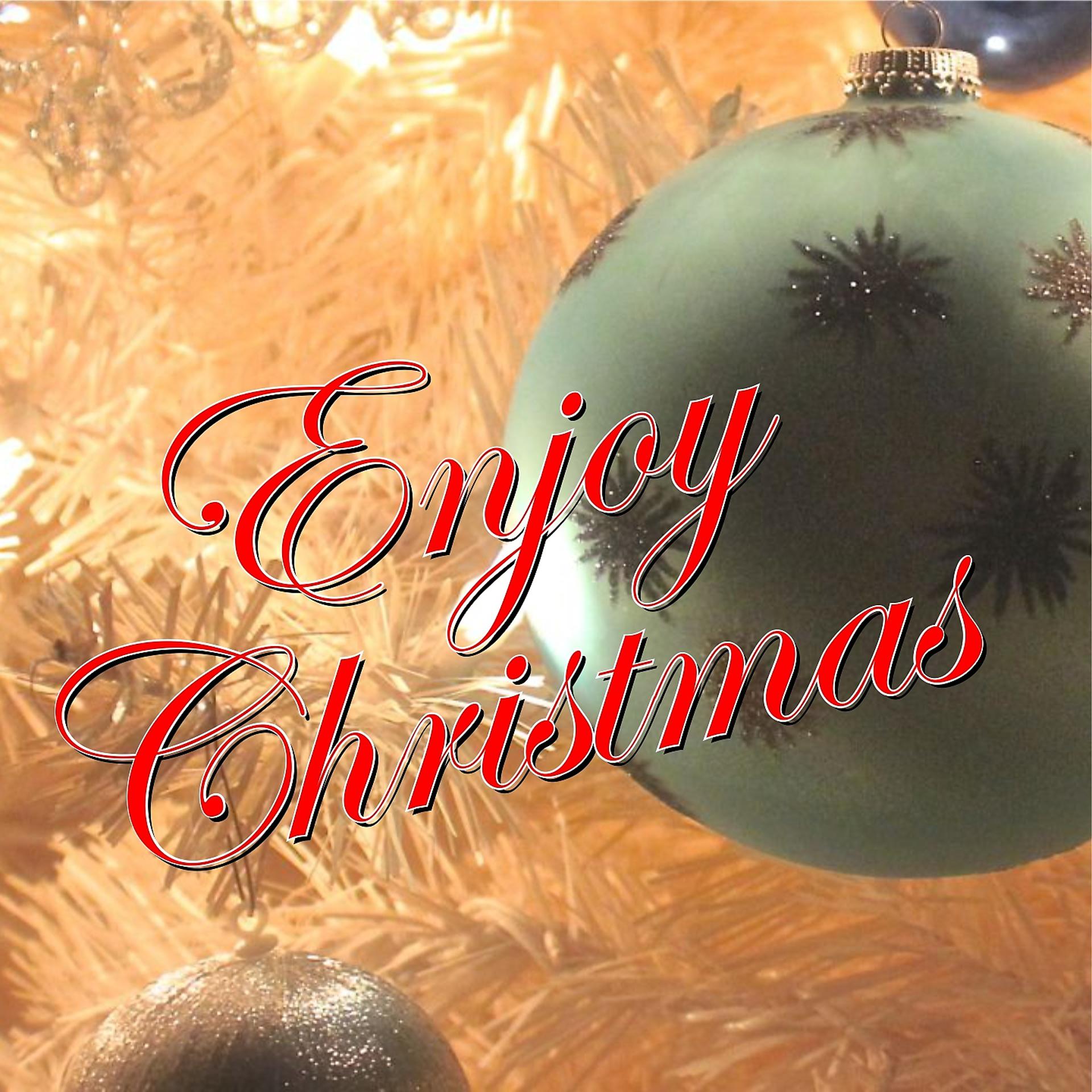 Постер альбома Enjoy Christmas