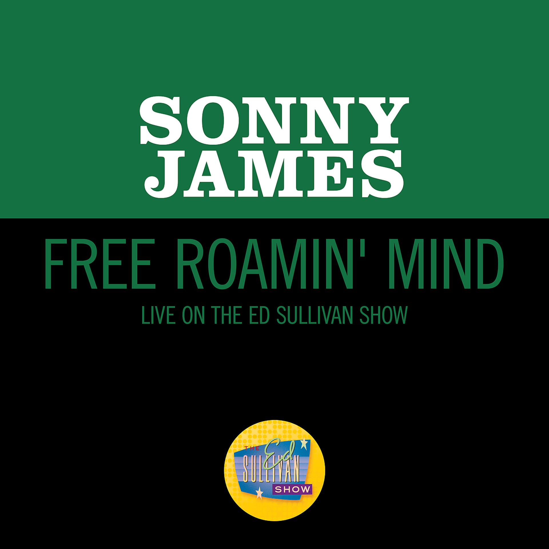 Постер альбома Free Roamin' Mind